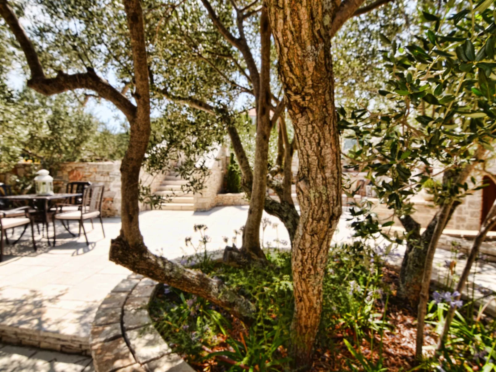 Wohnung "Villa Kos A-1" mit Pool-Draußen