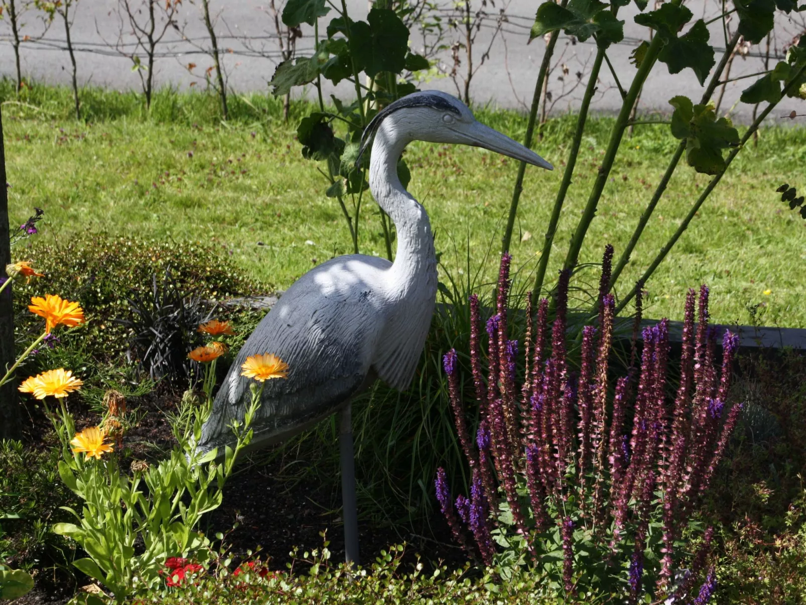 Haus Reiher am Lauwersmeer