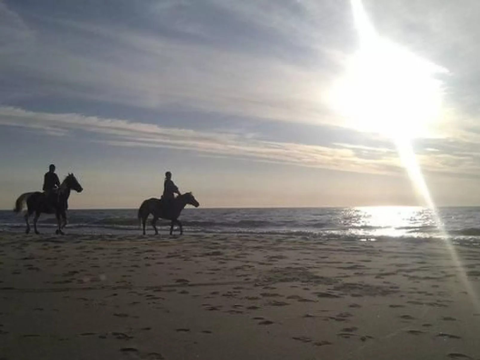 Gemütliches Holzferienhaus mit Grill und Garten
