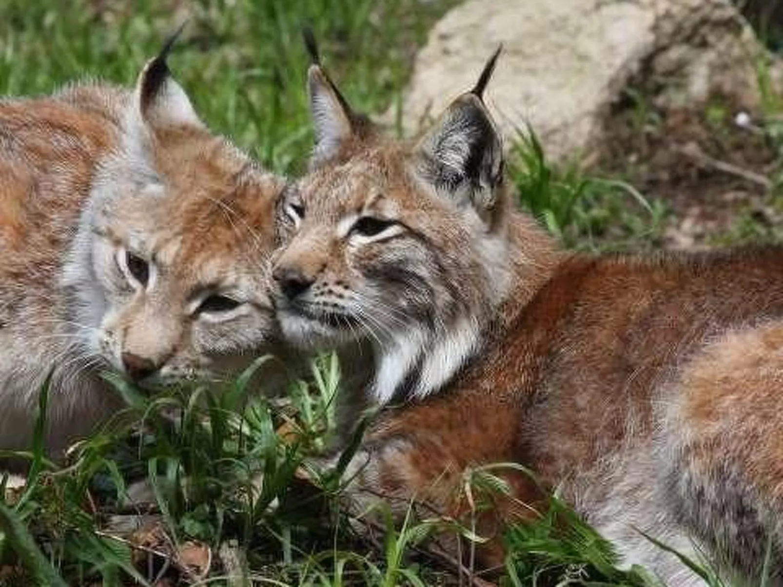 Fewo Stricker 21-Outside