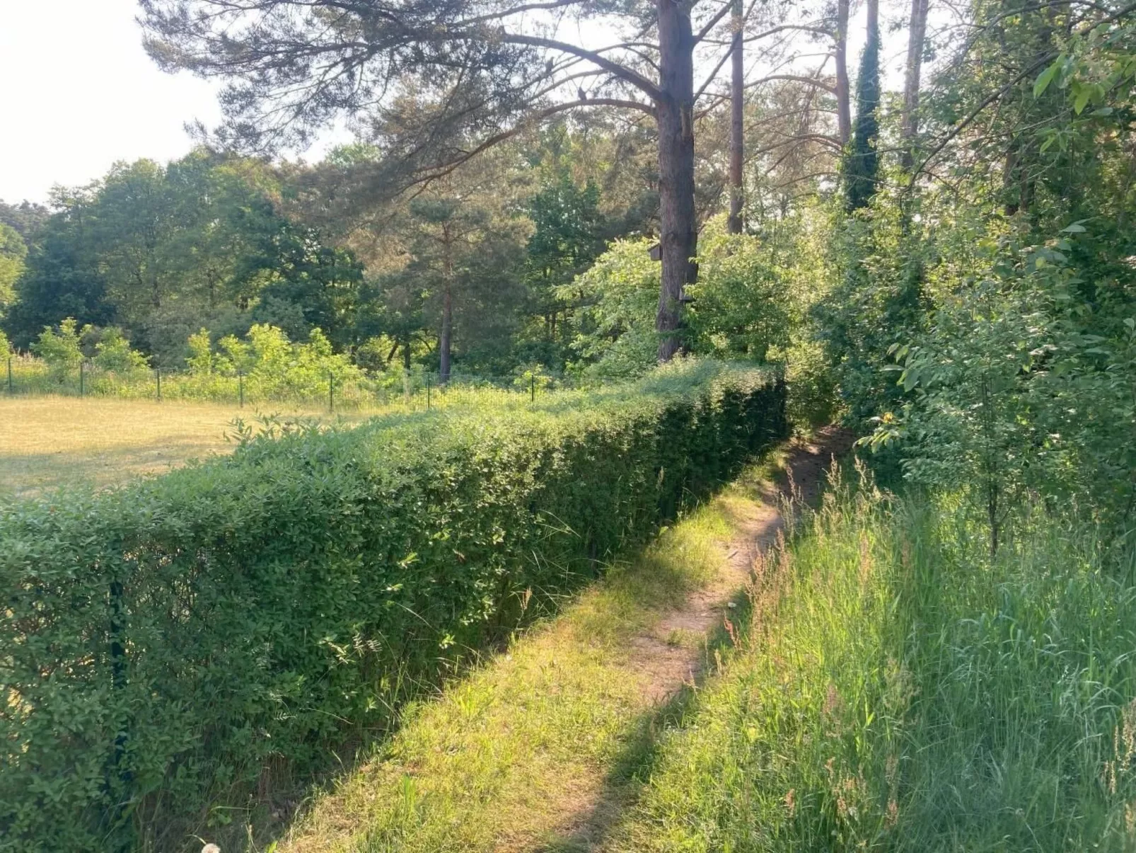 Bungalow Mecklenburgische Seenplatte-Dehors