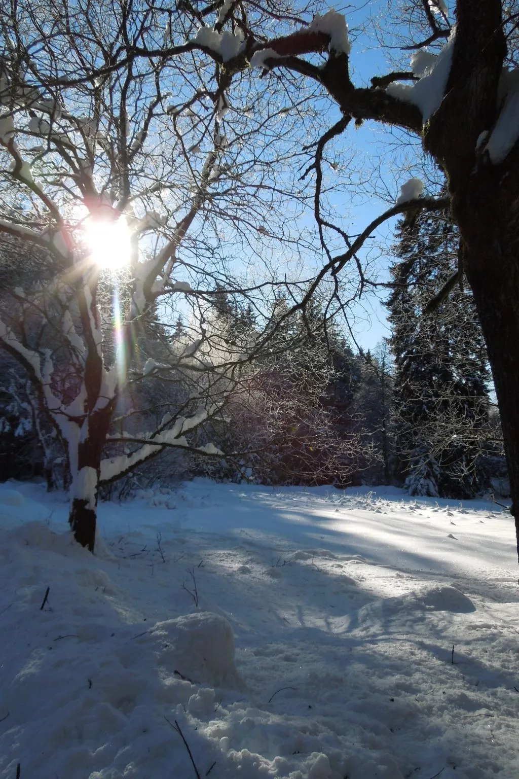 Blockhaus Bodefall-Image-tags.info