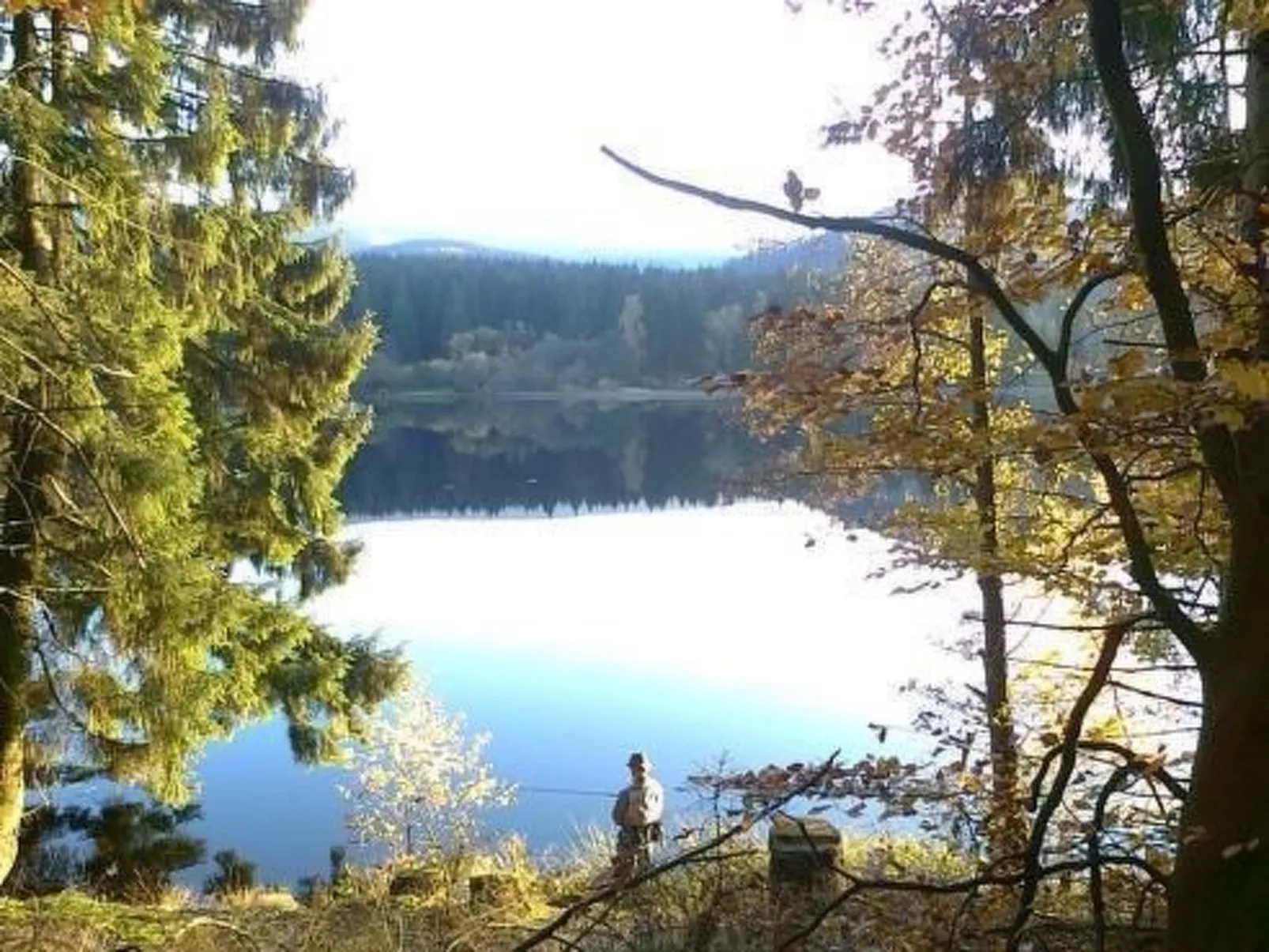 Altes Forsthaus-Draußen