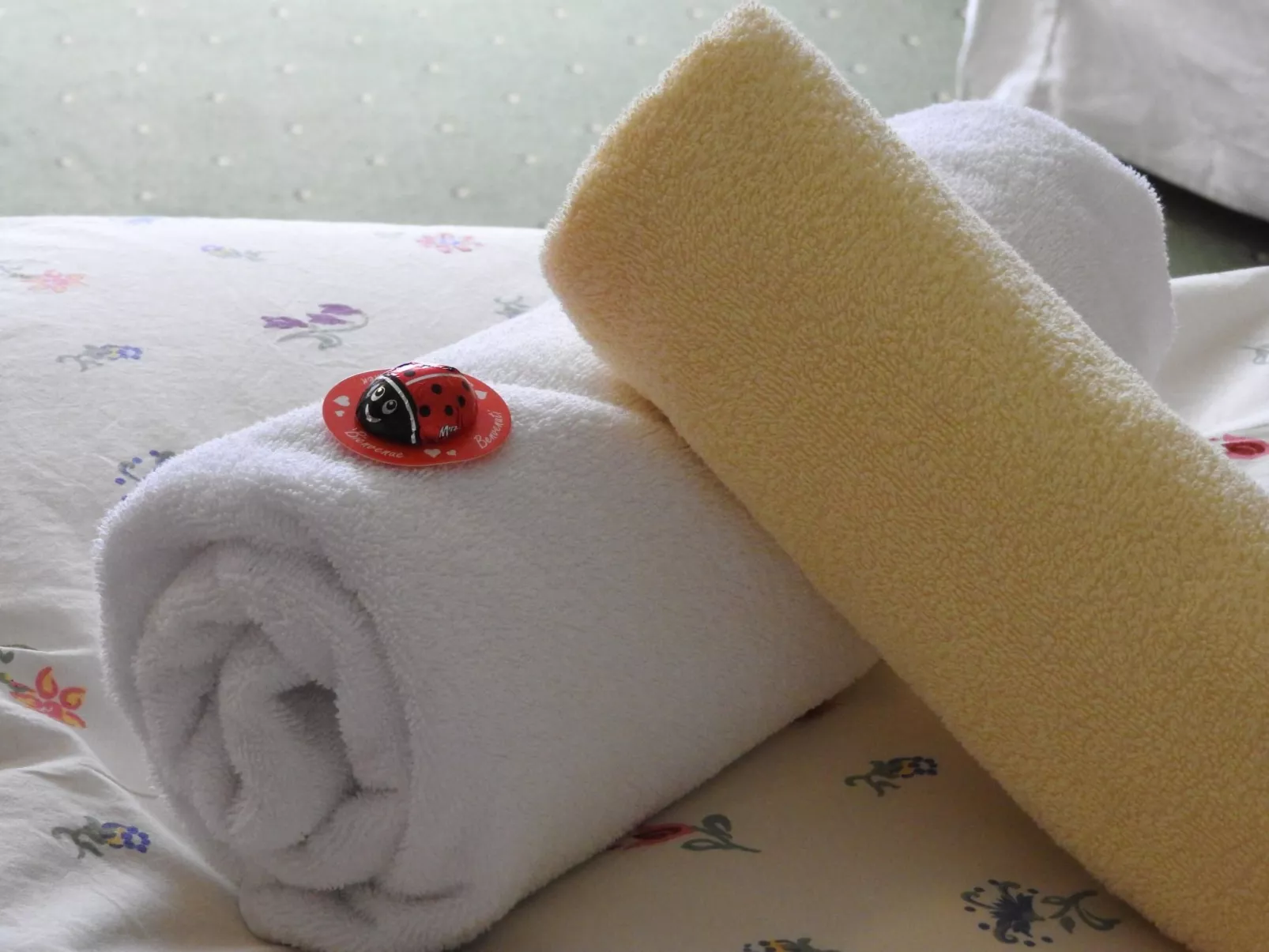 Gemütliches Studio, komplett eingerichtet