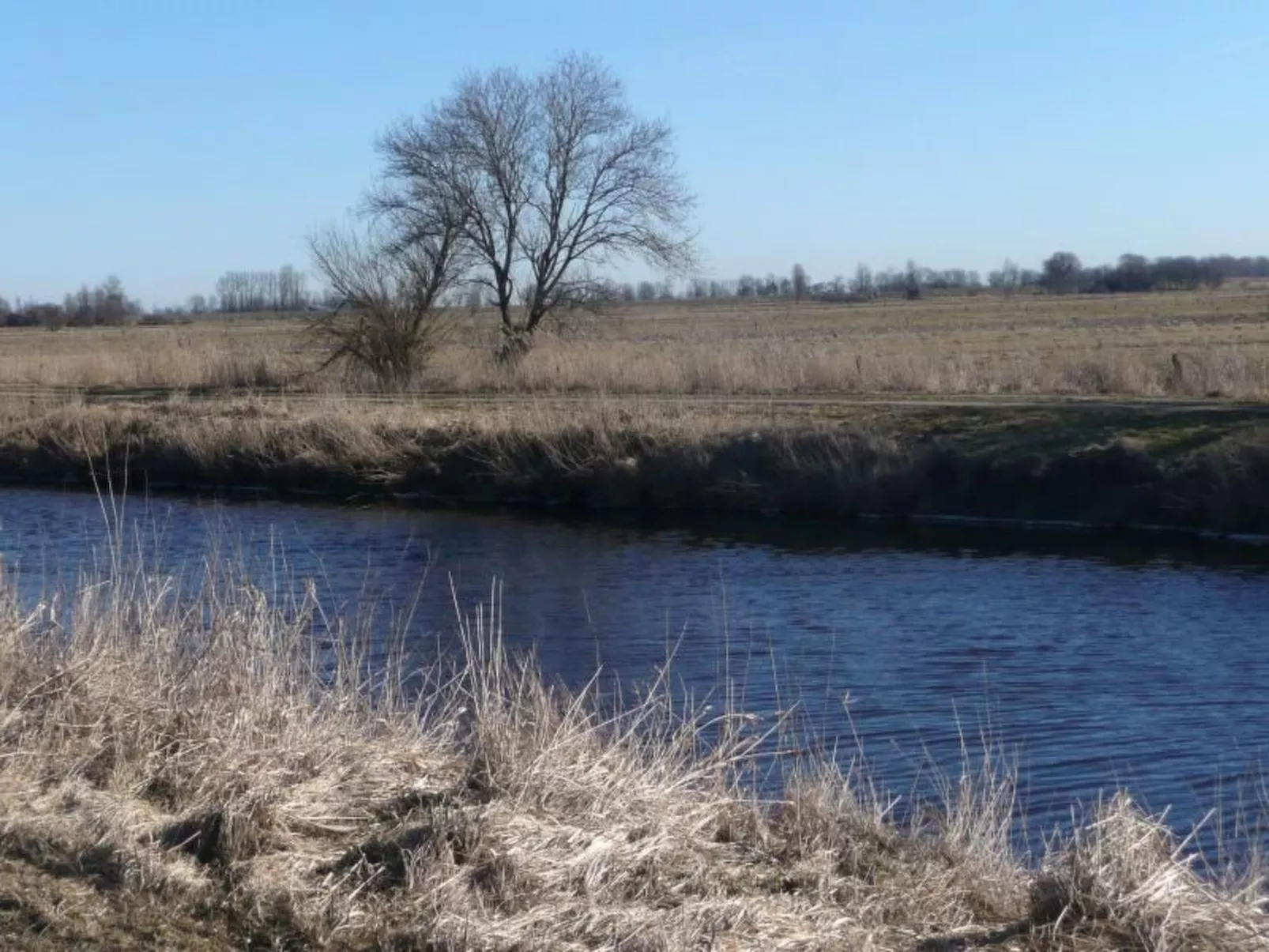 Gemütliches Ferienhaus am Deich mit Gartenzimmer