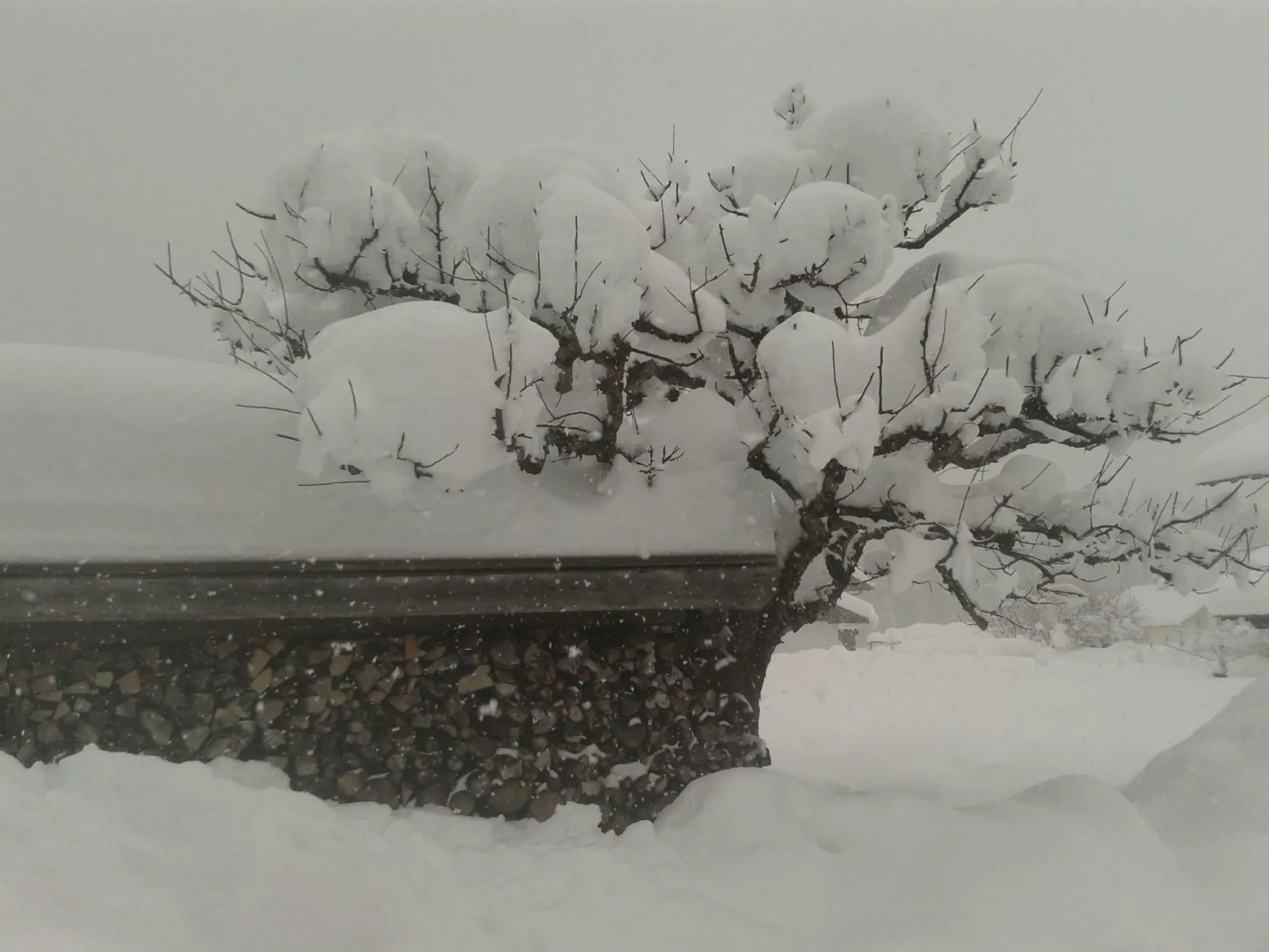 Sonnenhof 1-2 Personen in Ehrwald-Image-tags.info