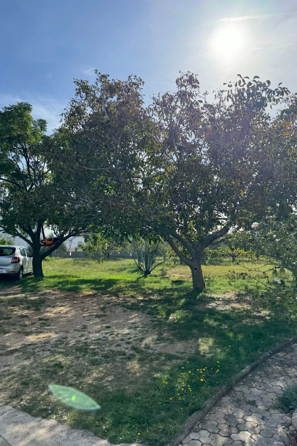 Gemütliche Einzimmerwohnung Marija - Agentur TA Leut-Draußen
