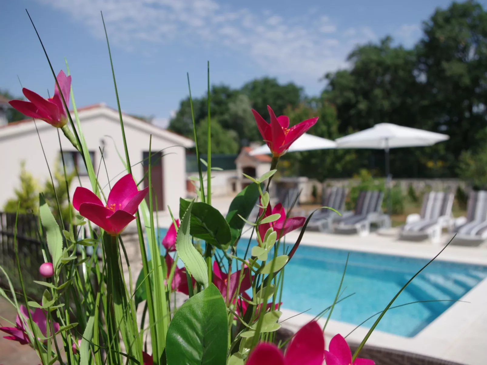 Geräumiges Ferienhaus mit 4 Schlafzimmern und privatem Pool-Draußen