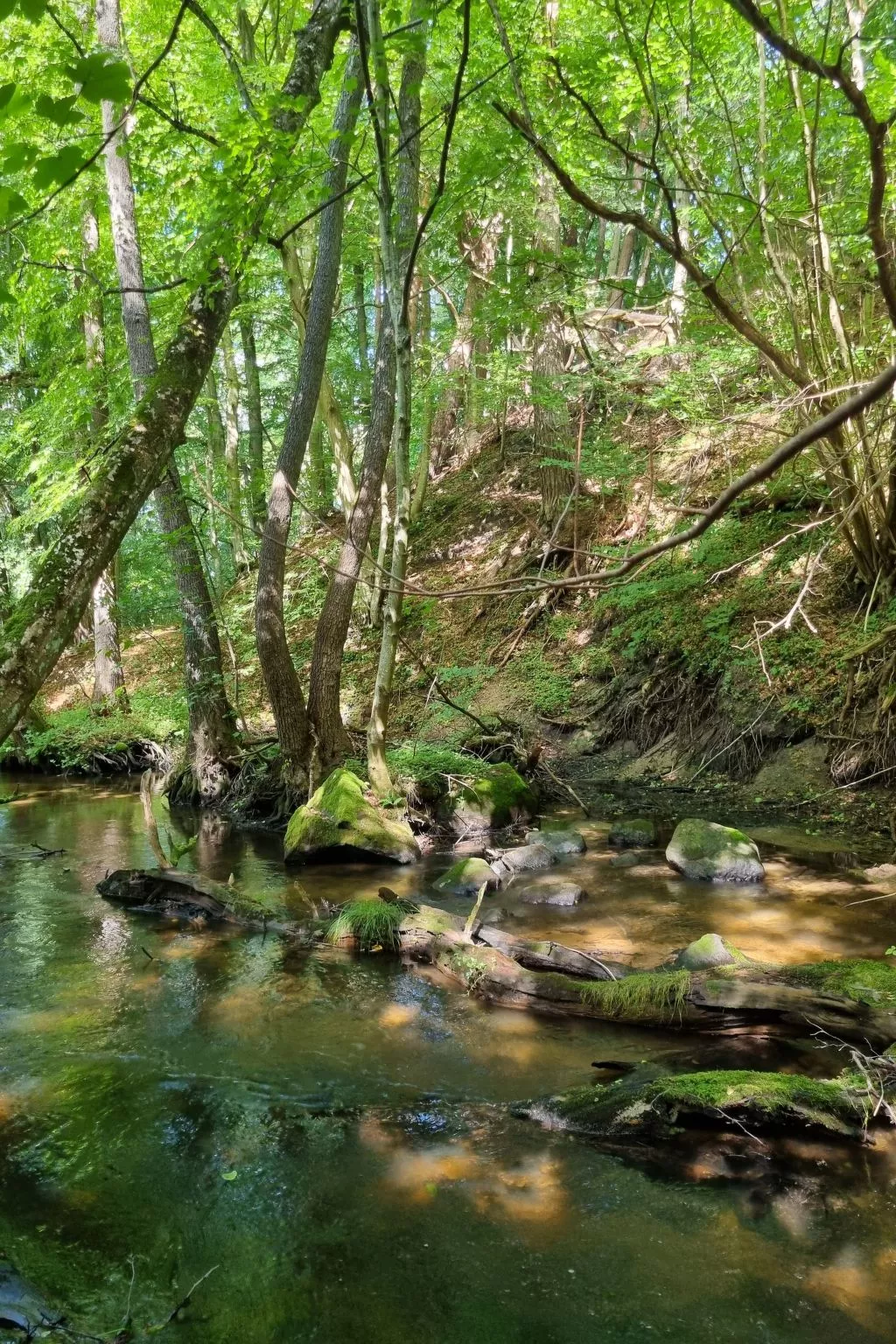 Lublewo21 Ferienhäuser - Draußen