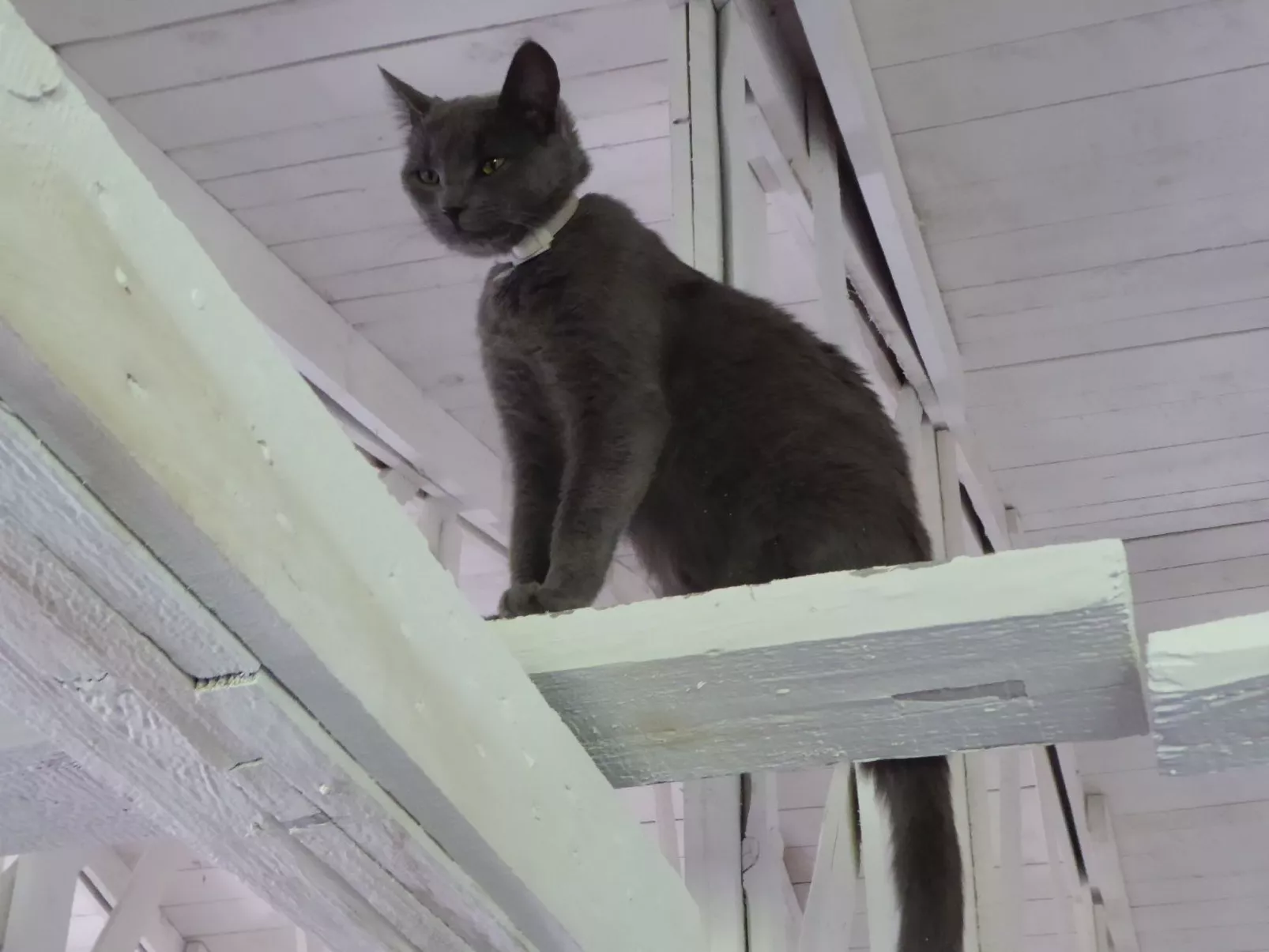 Hochwertige Ferienwohnung in Gingst-Draußen
