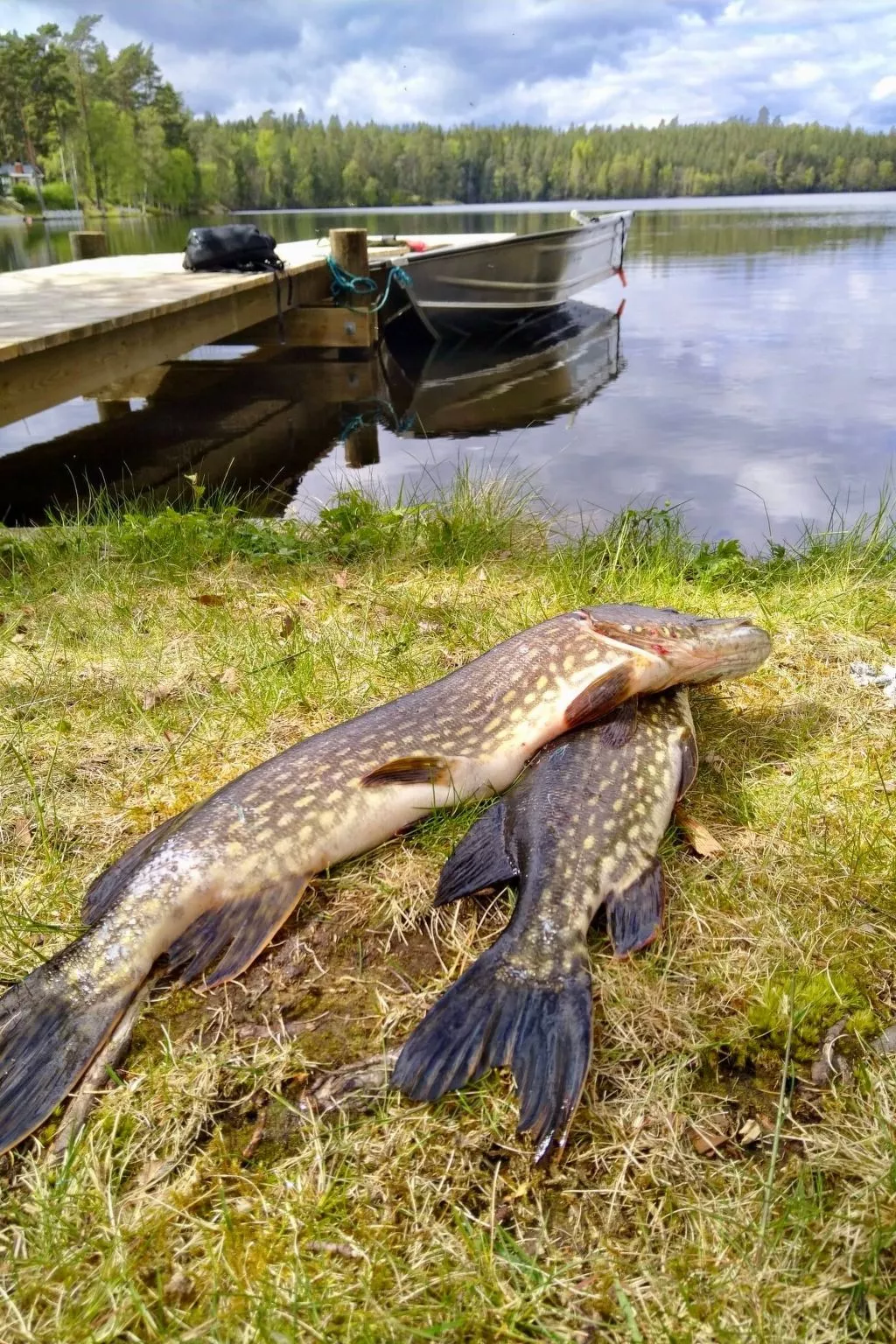 Haus am See Gnötteln-Outside