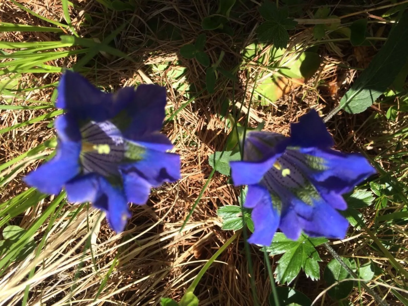 Ers Curtins-Draußen