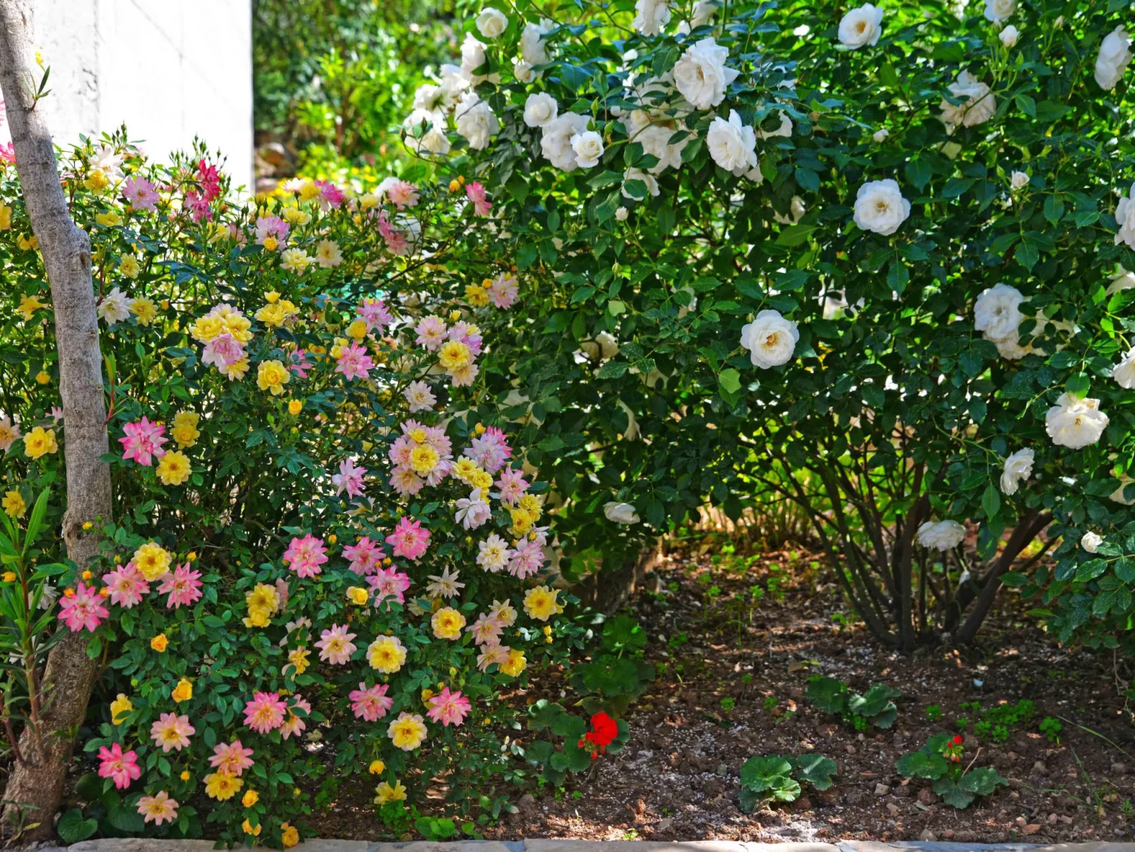 Wohnung Goranka 1-Outside