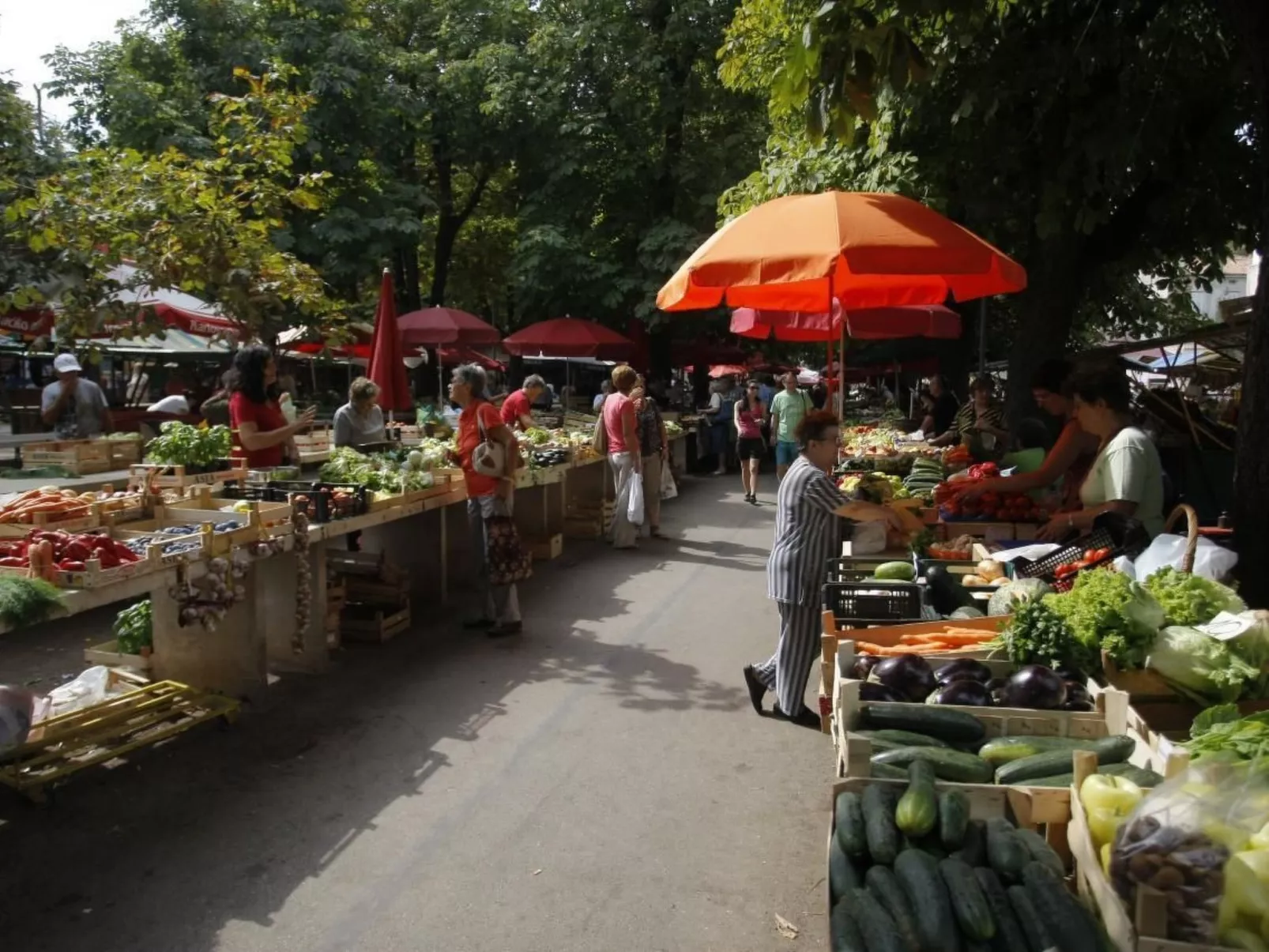 "Dunja", Pula-Dehors