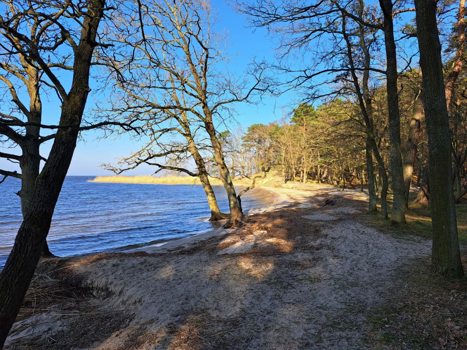 Mit Terrasse mitten im Grünen-Dehors