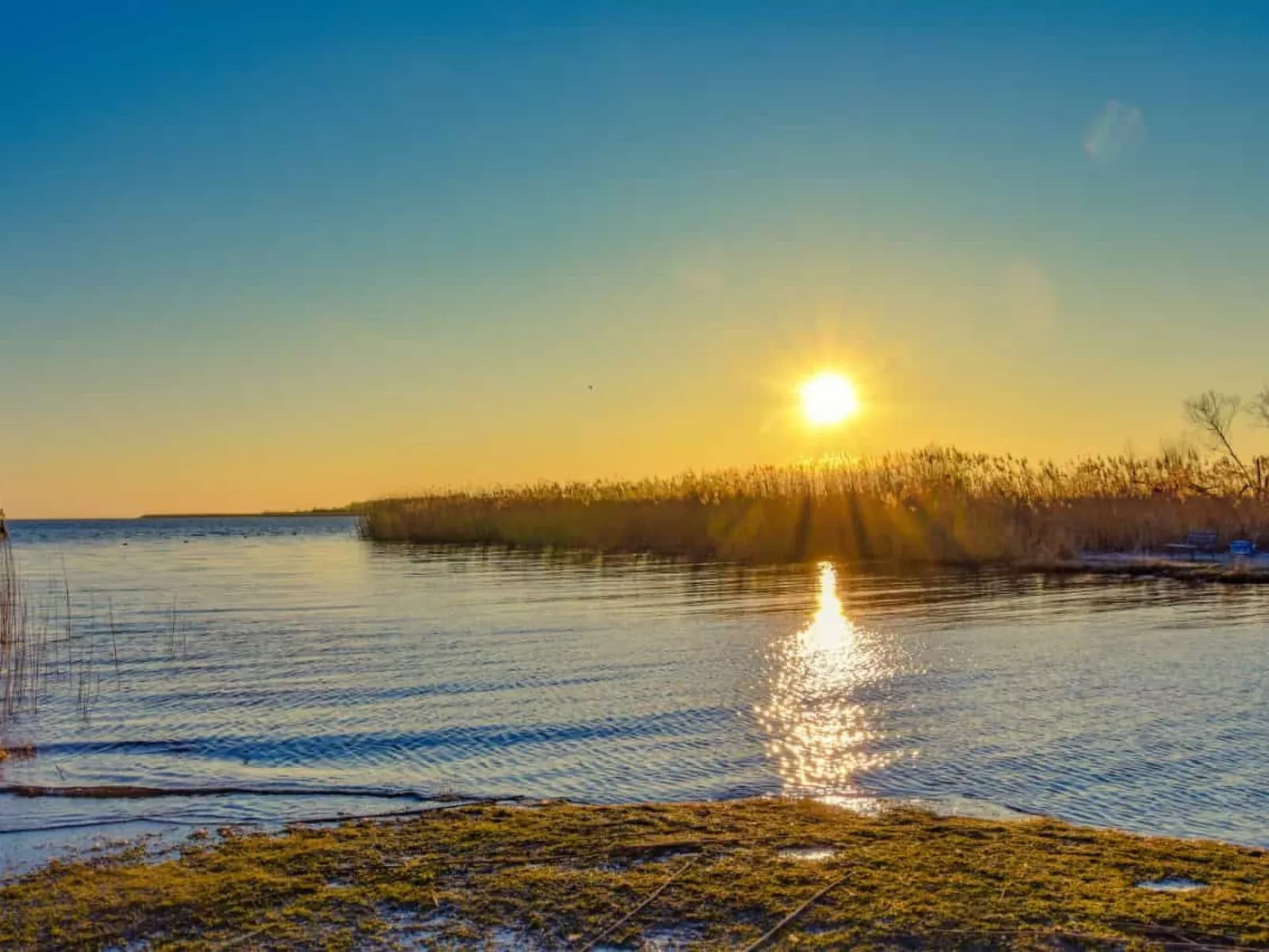 Waldperle-Image-tags.info