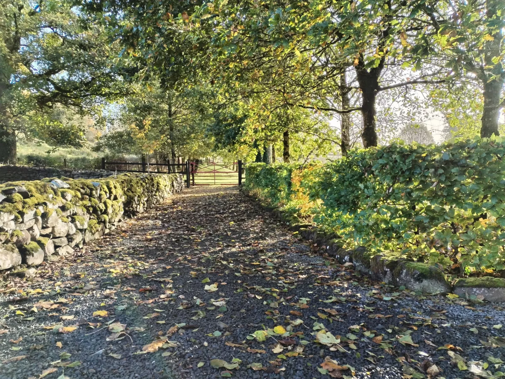 Cottage "James Tymon" mit Terrasse und Garten-Dehors