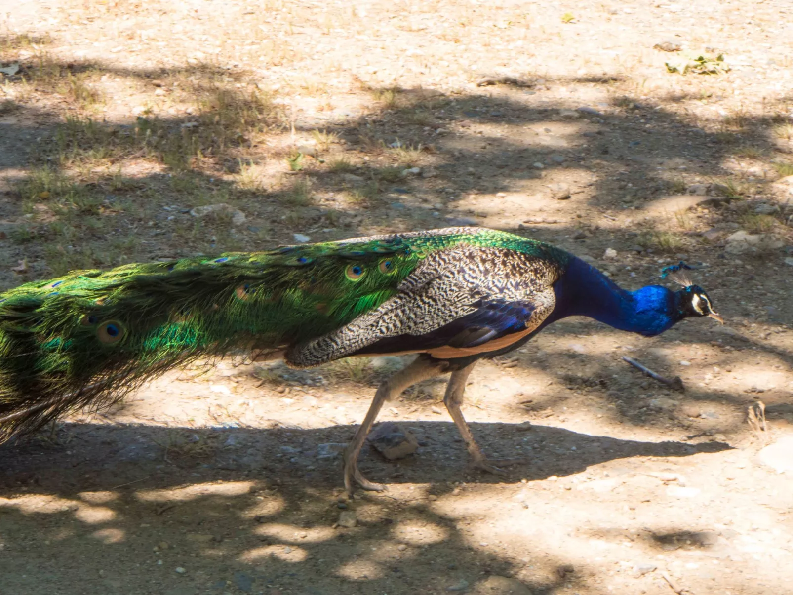 In Murviel-les-Béziers,-Draußen