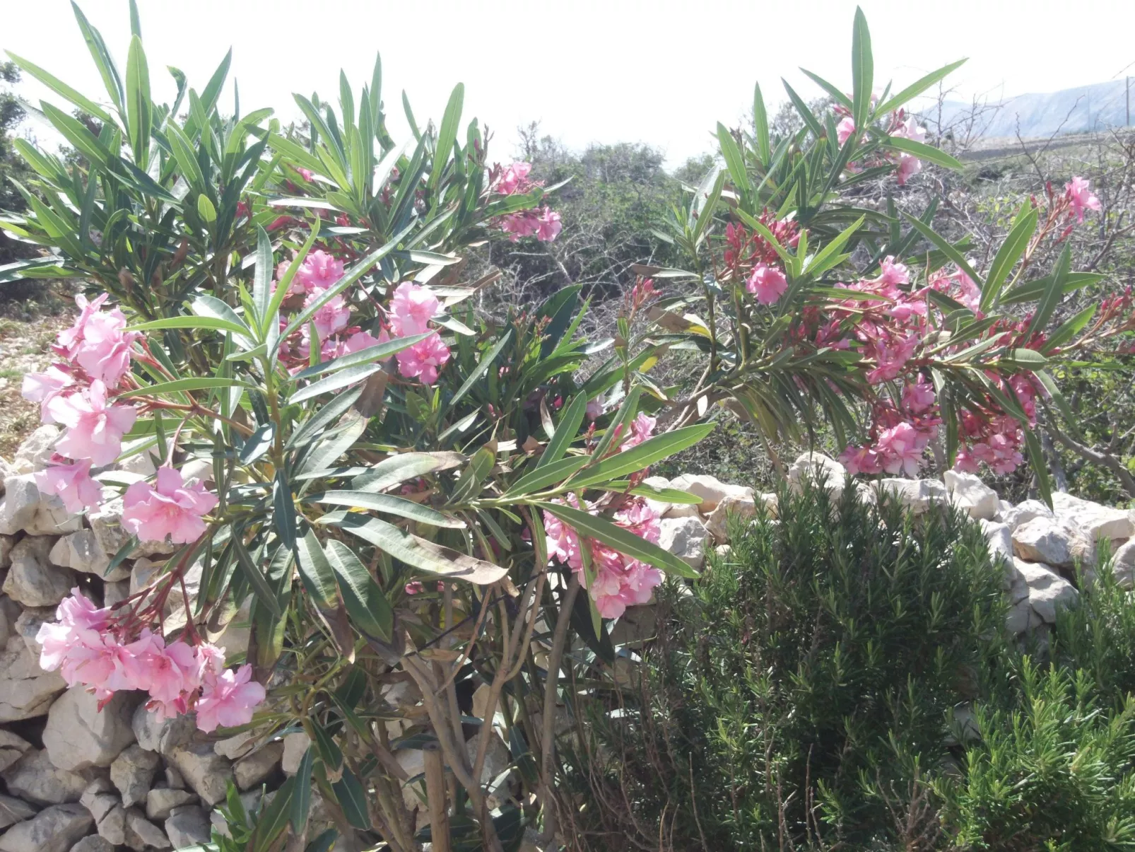 Appartement mit Blick auf das Wasser-Image-tags.info