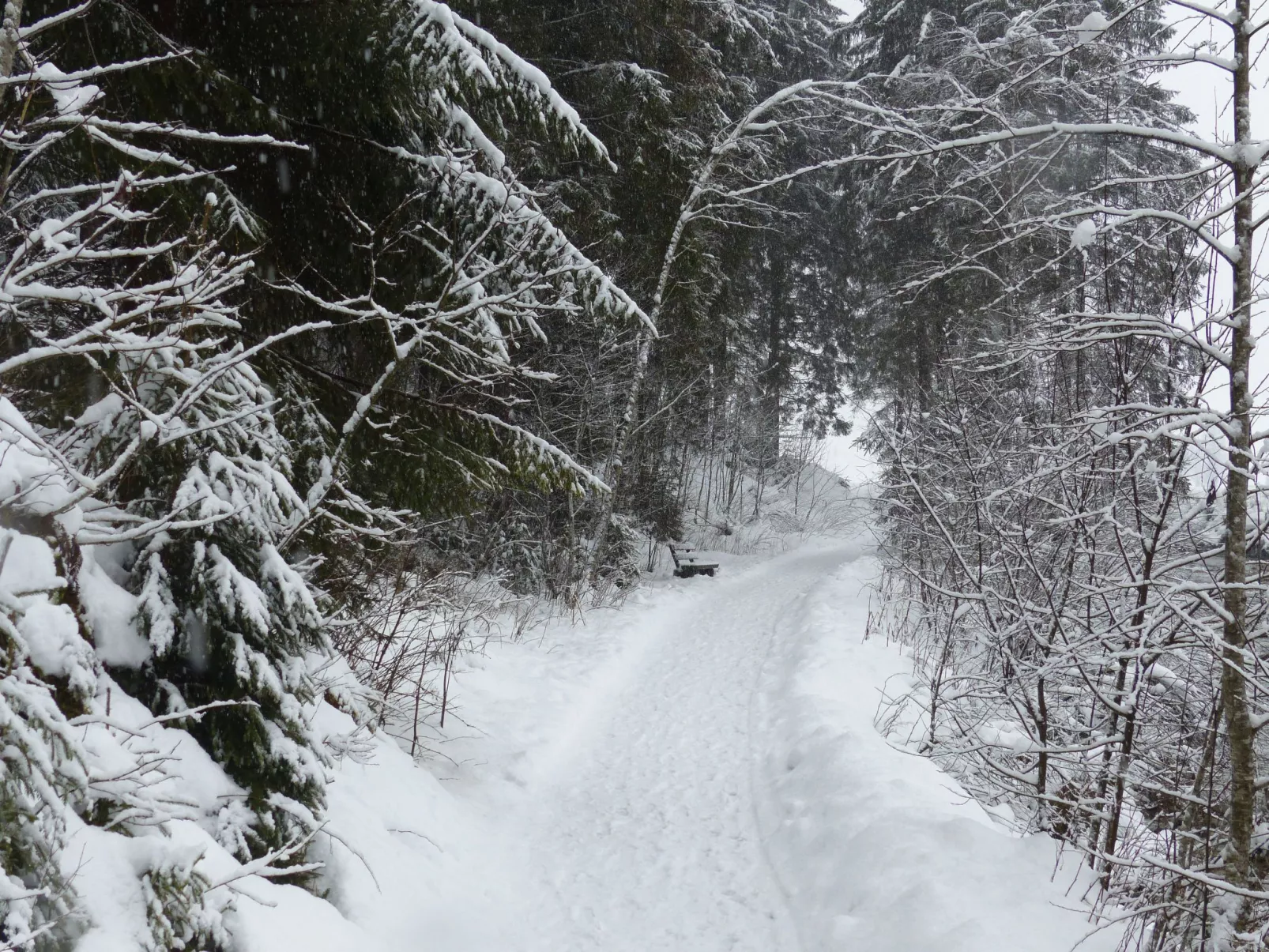 Wohnung in Bad Harzburg mit Garten-Outside