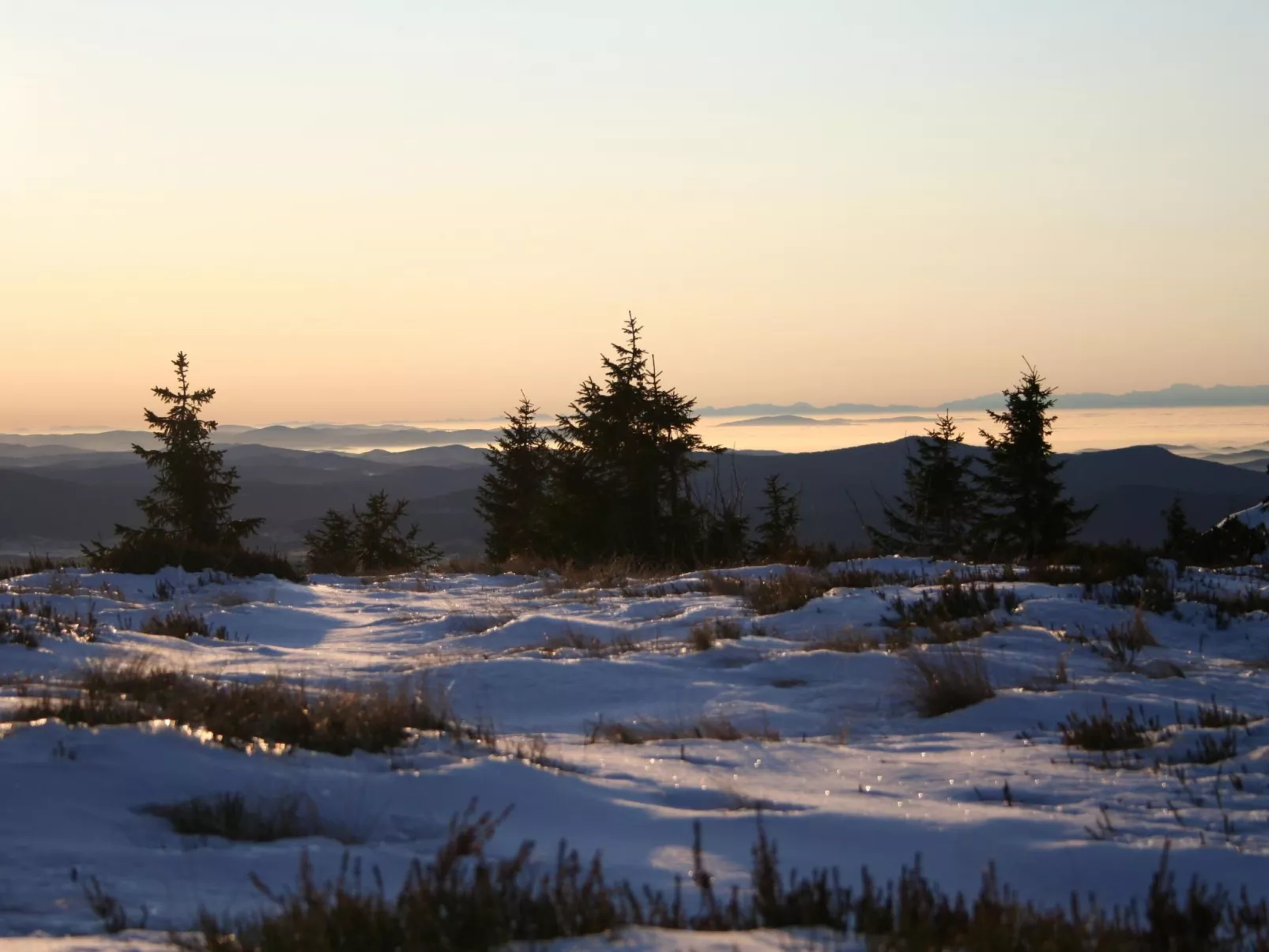 Wiesengrund in Bayerisch Eisenstein