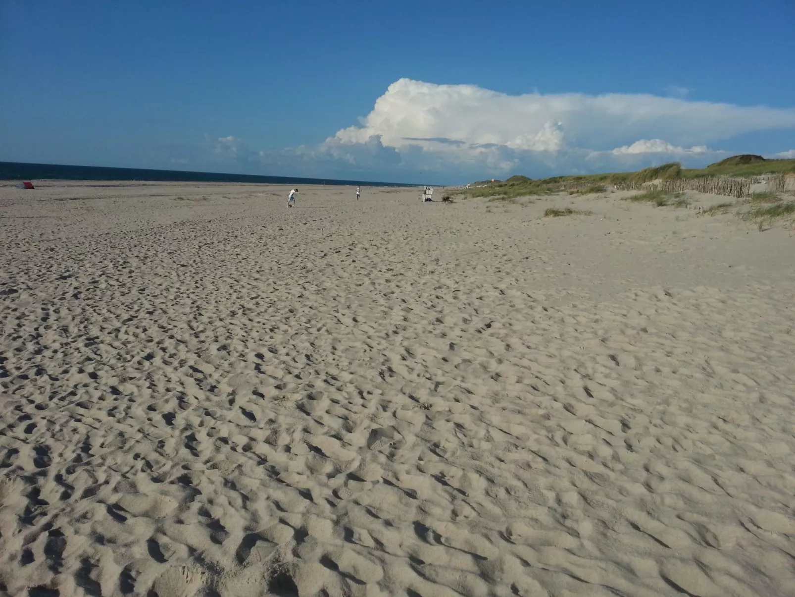 Appartement Achtern-Diek-am-Strand in Zingst