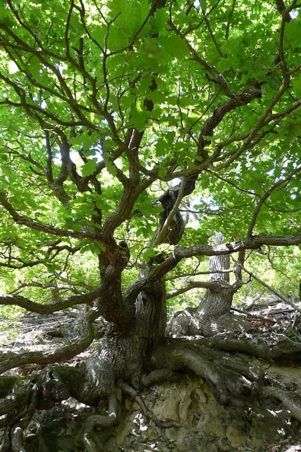 Mit Liebe ausgestattetes Haus im Naturpark