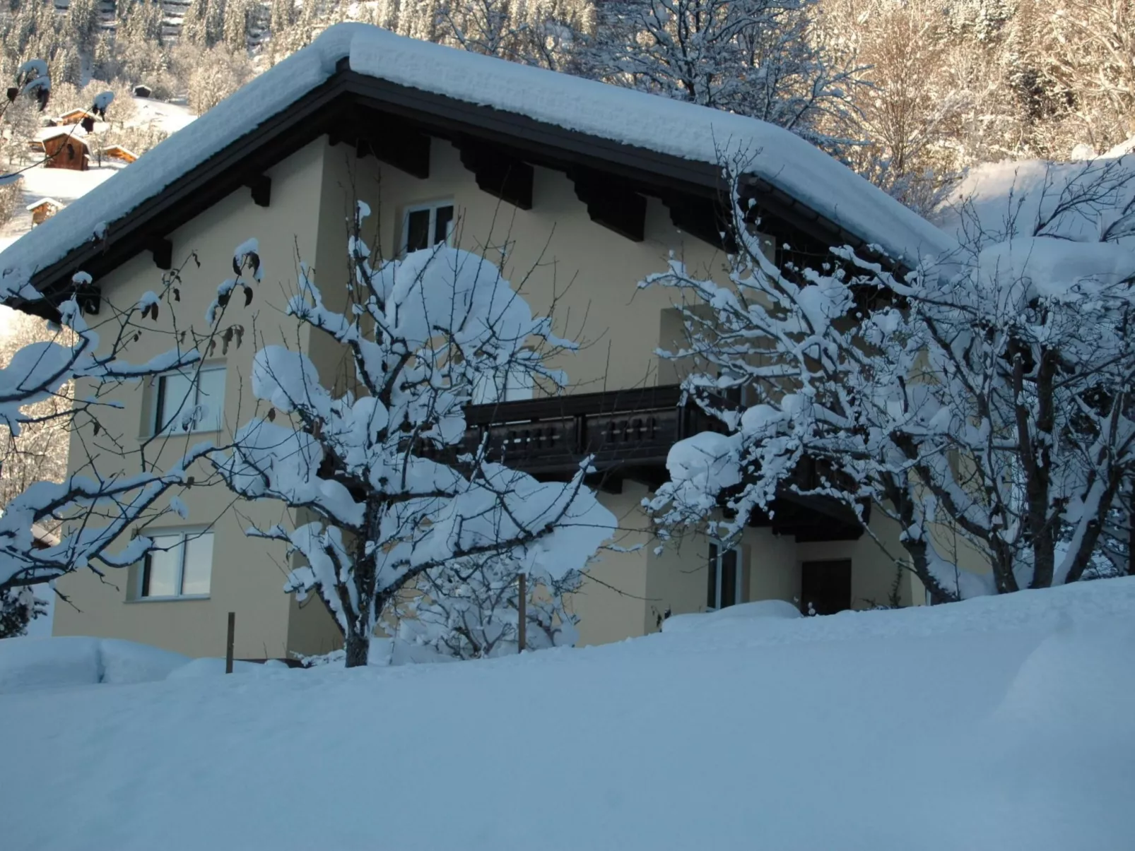 Große Wohnung in Silbertal mit Großem Garten