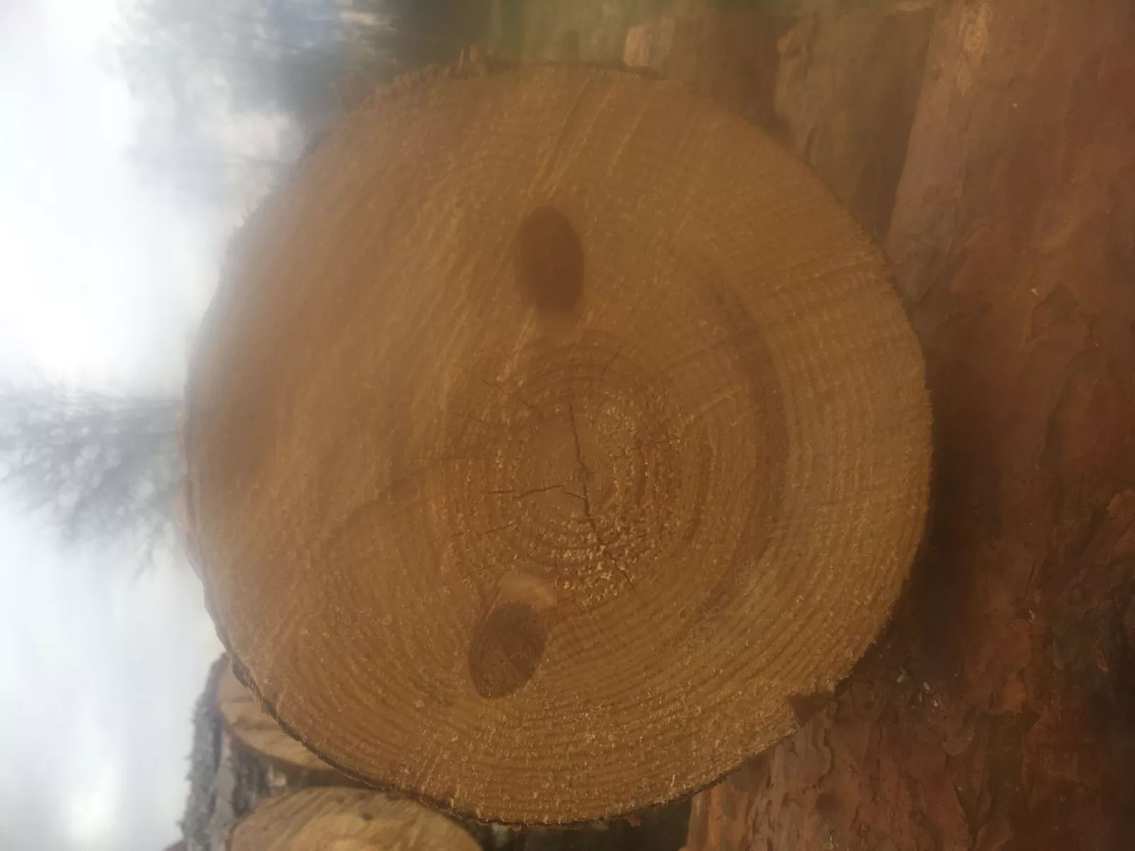 Haus mit toller Aussicht an einem schönen See-Dehors