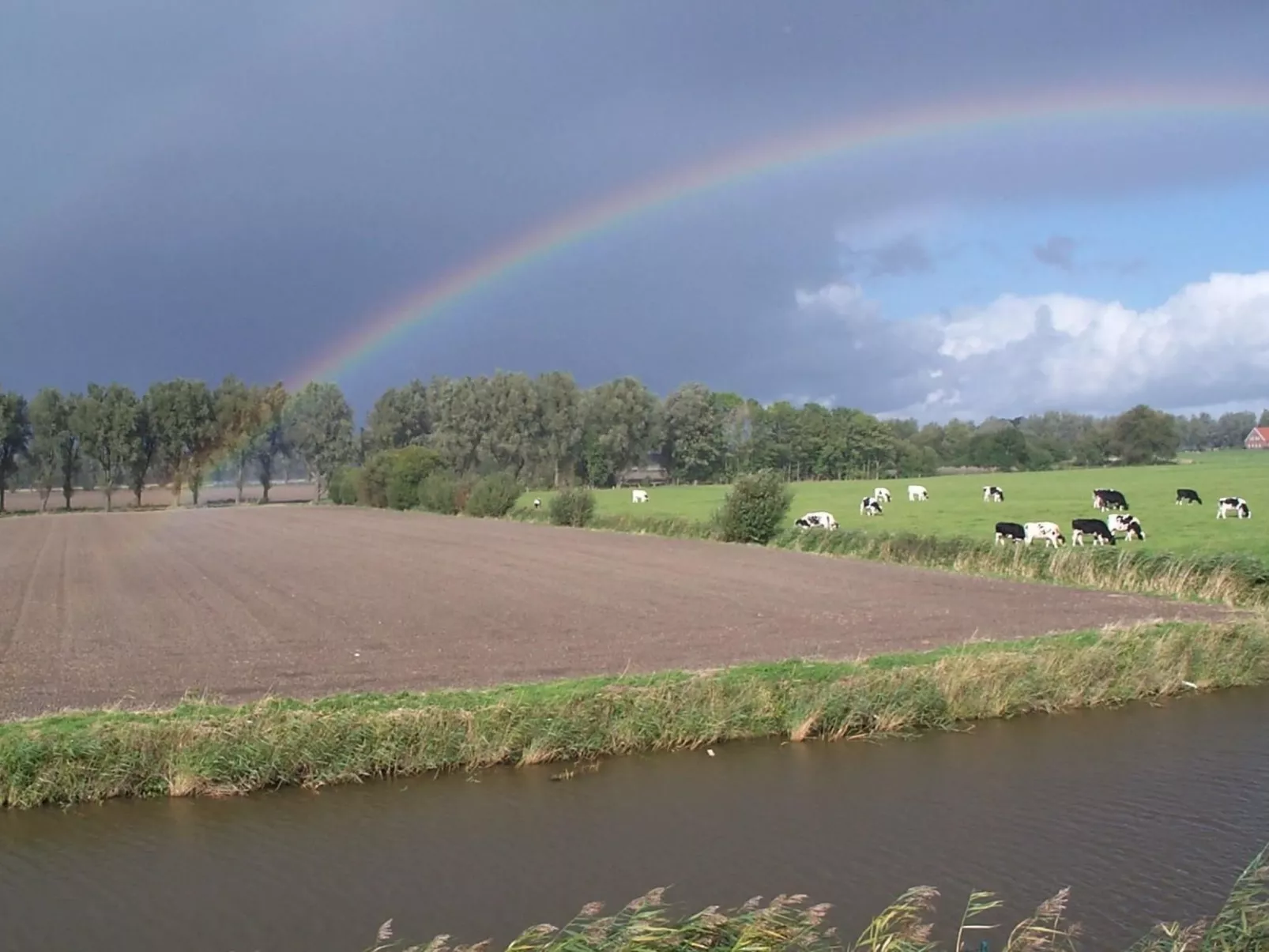 In Grimersum mit Grill und Garten-Dehors