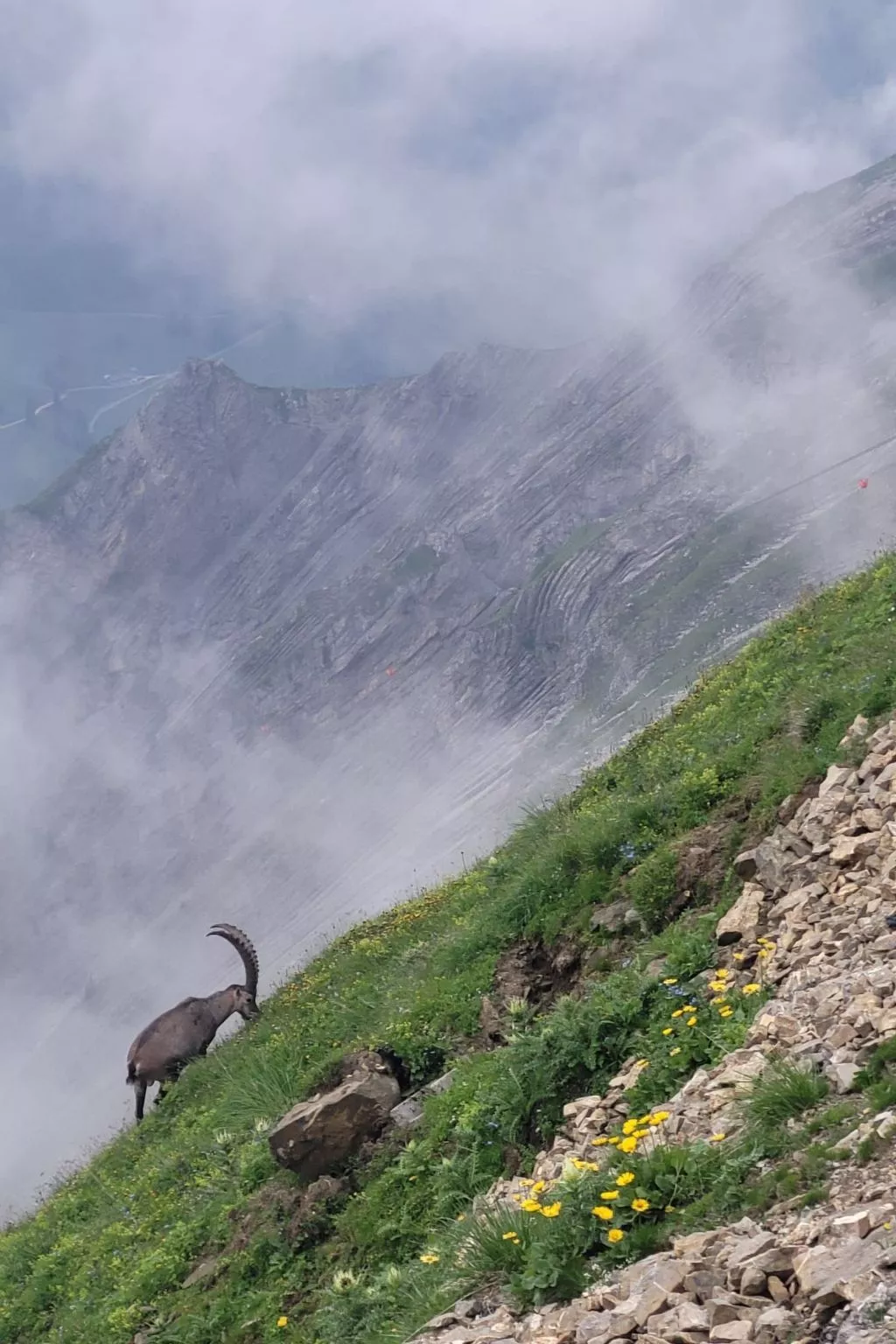 Kolibri Parterre-Outside