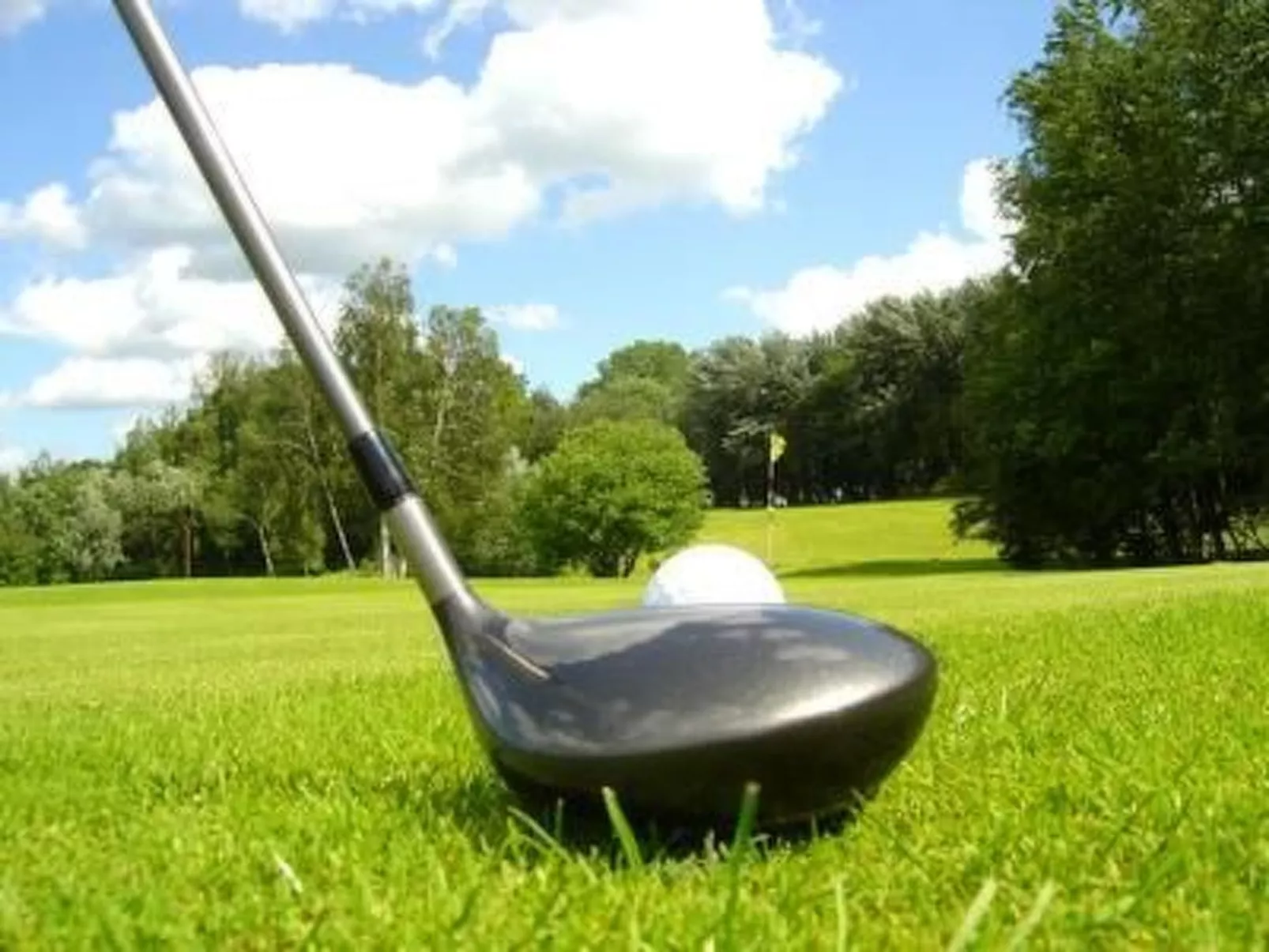 In Volksdorf mit Großer Terrasse