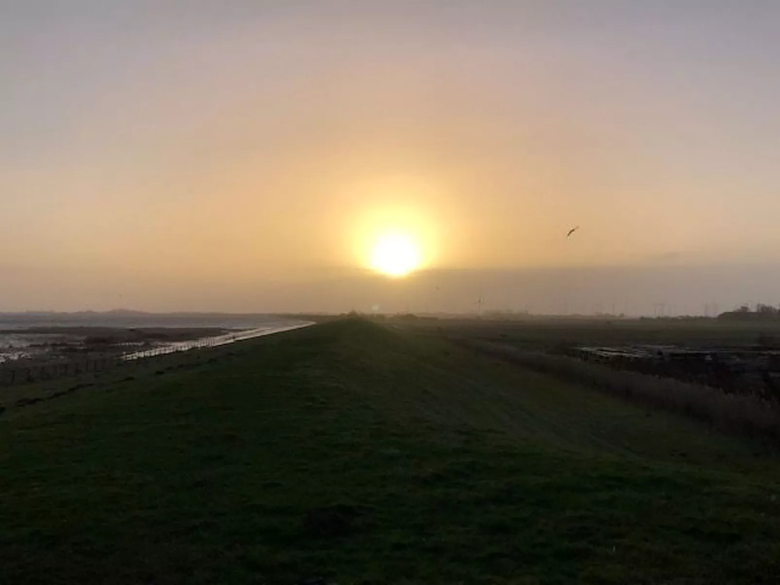 Mit Südwestterrasse mit Stellplatz-Image-tags.info