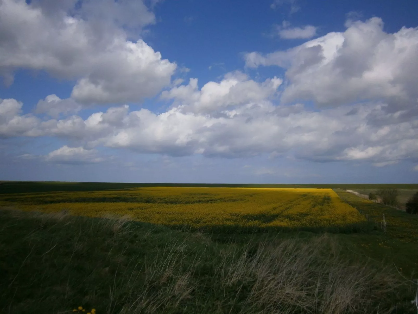 In kinderfreundlicher Ferienanlage-Image-tags.info