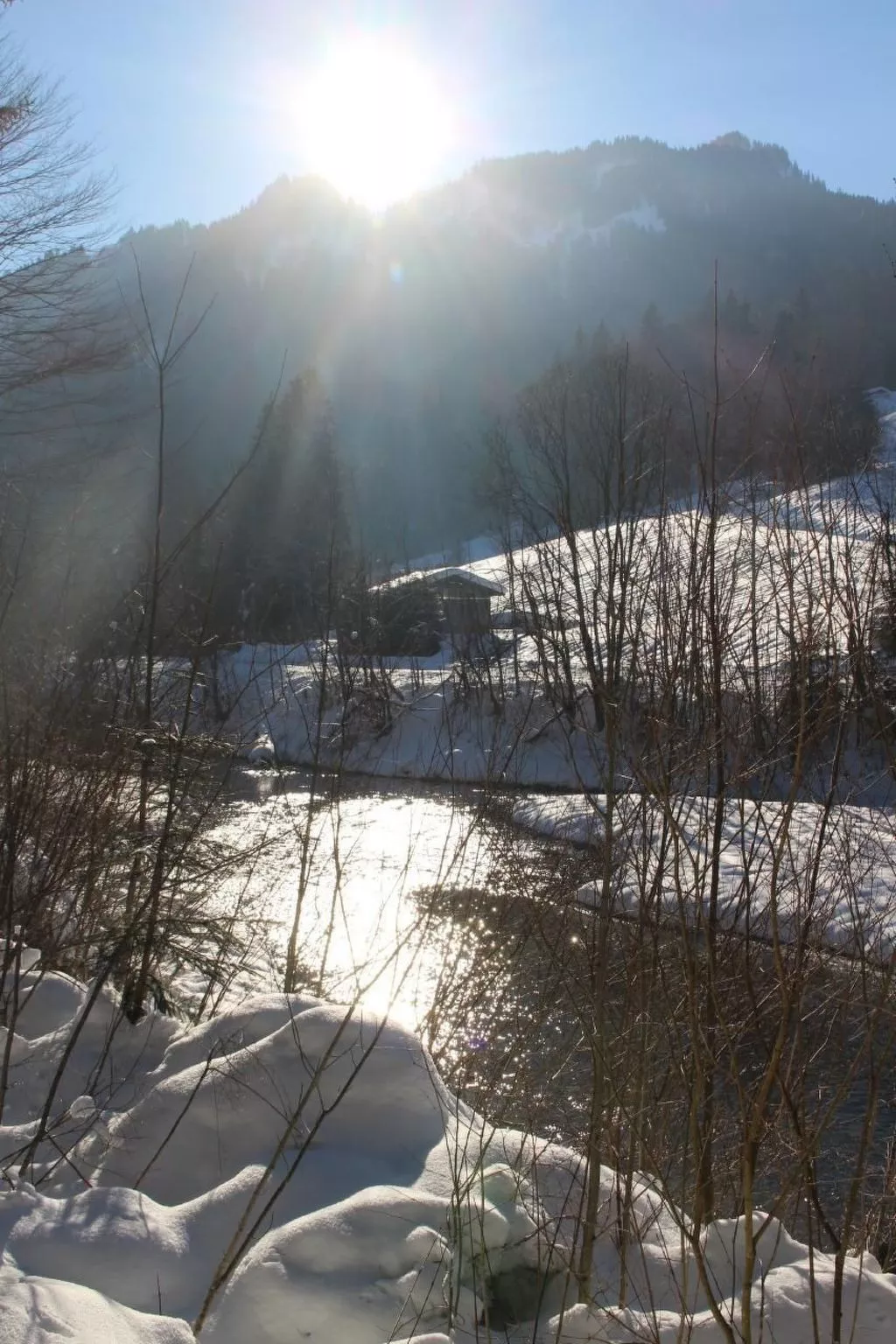 Alpkönigin - Outside