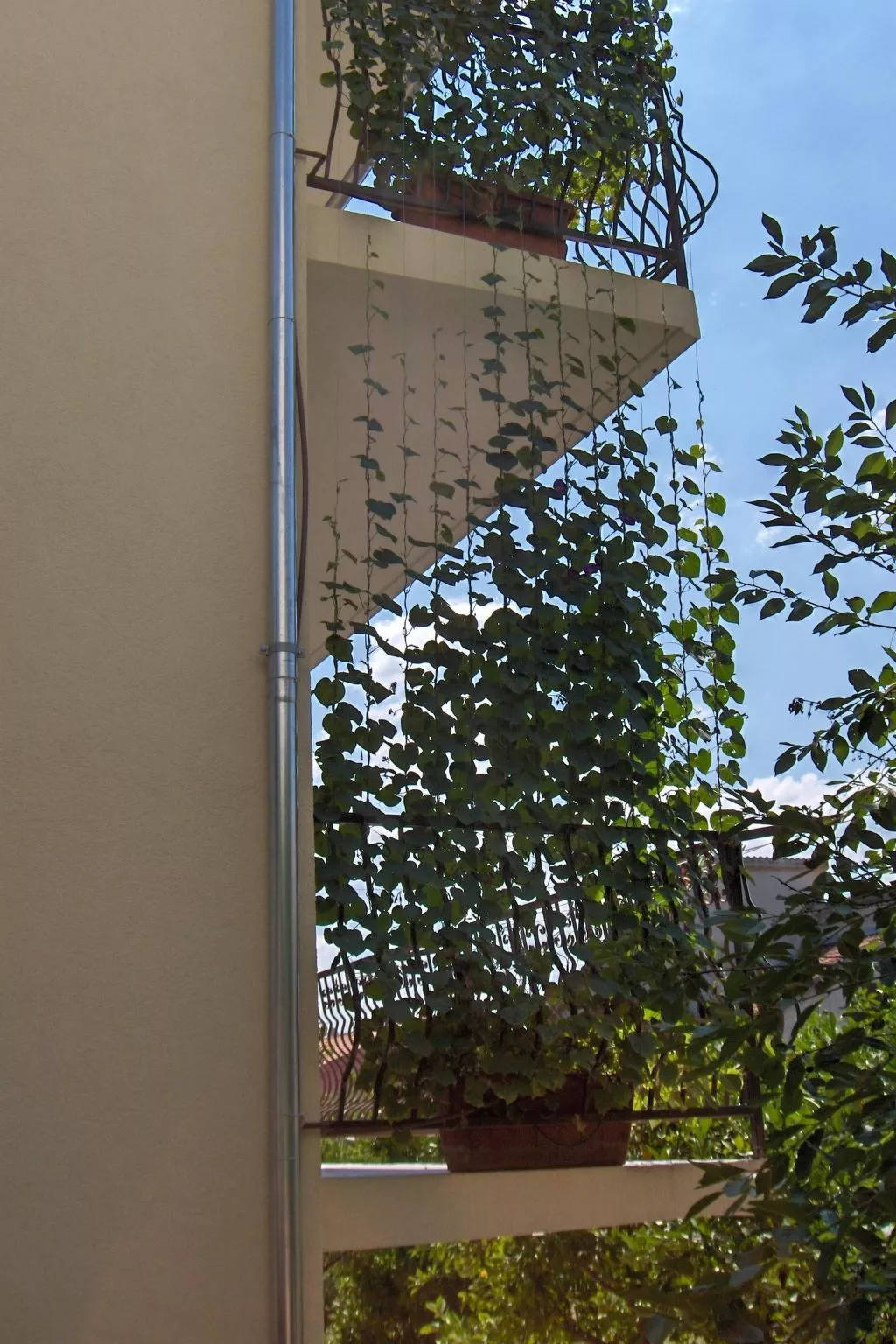 In Stari Grad-Draußen