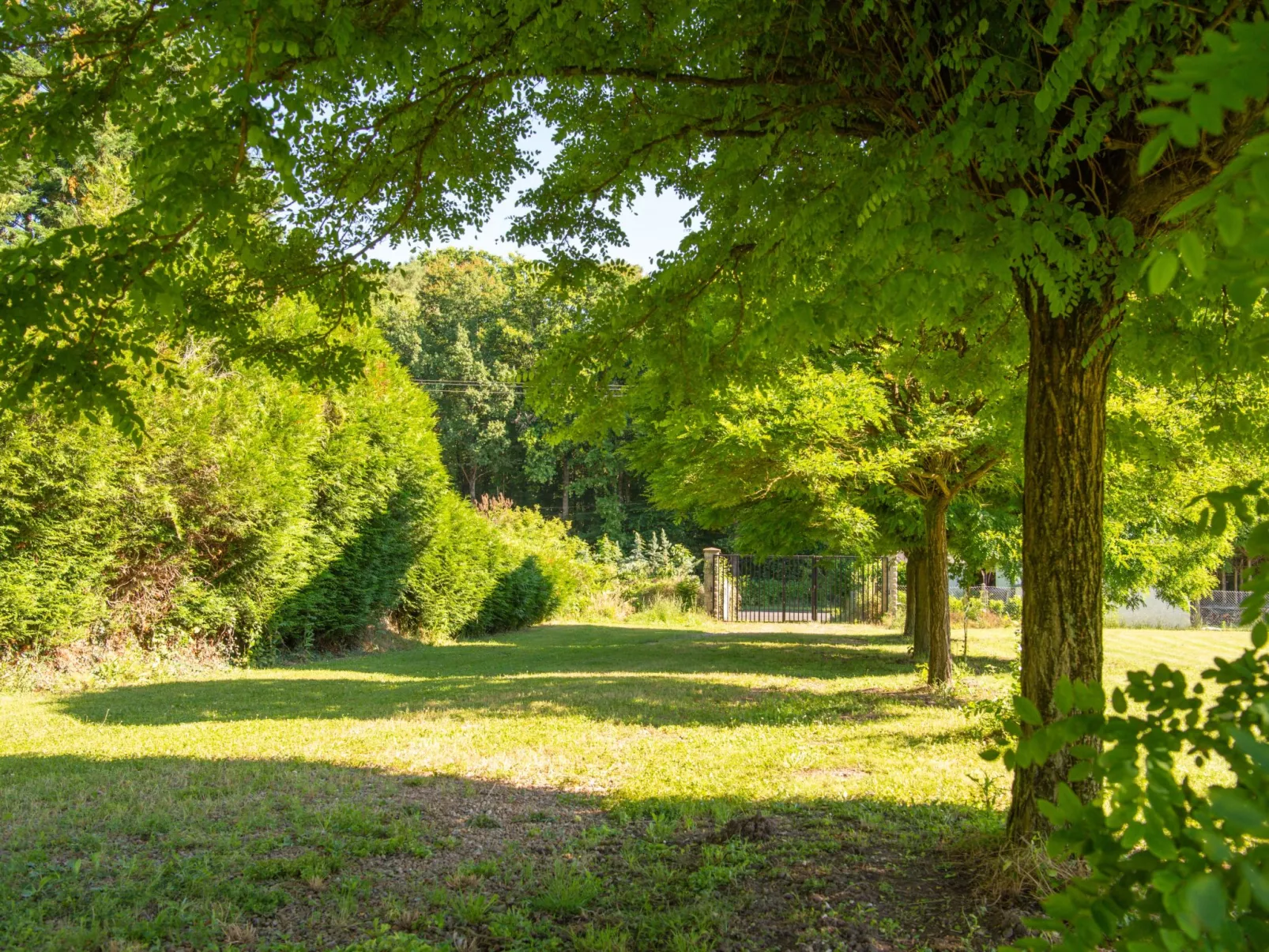 Der Ruf der freien Zone-Draußen