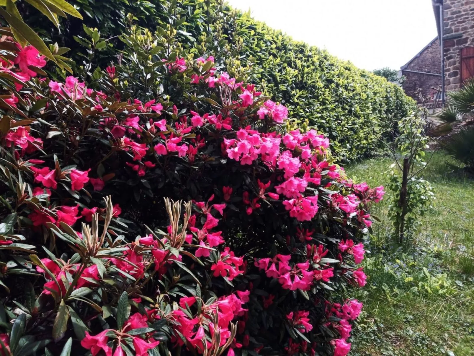 Villa La Côte du Chat -Familienhaus Bretagne