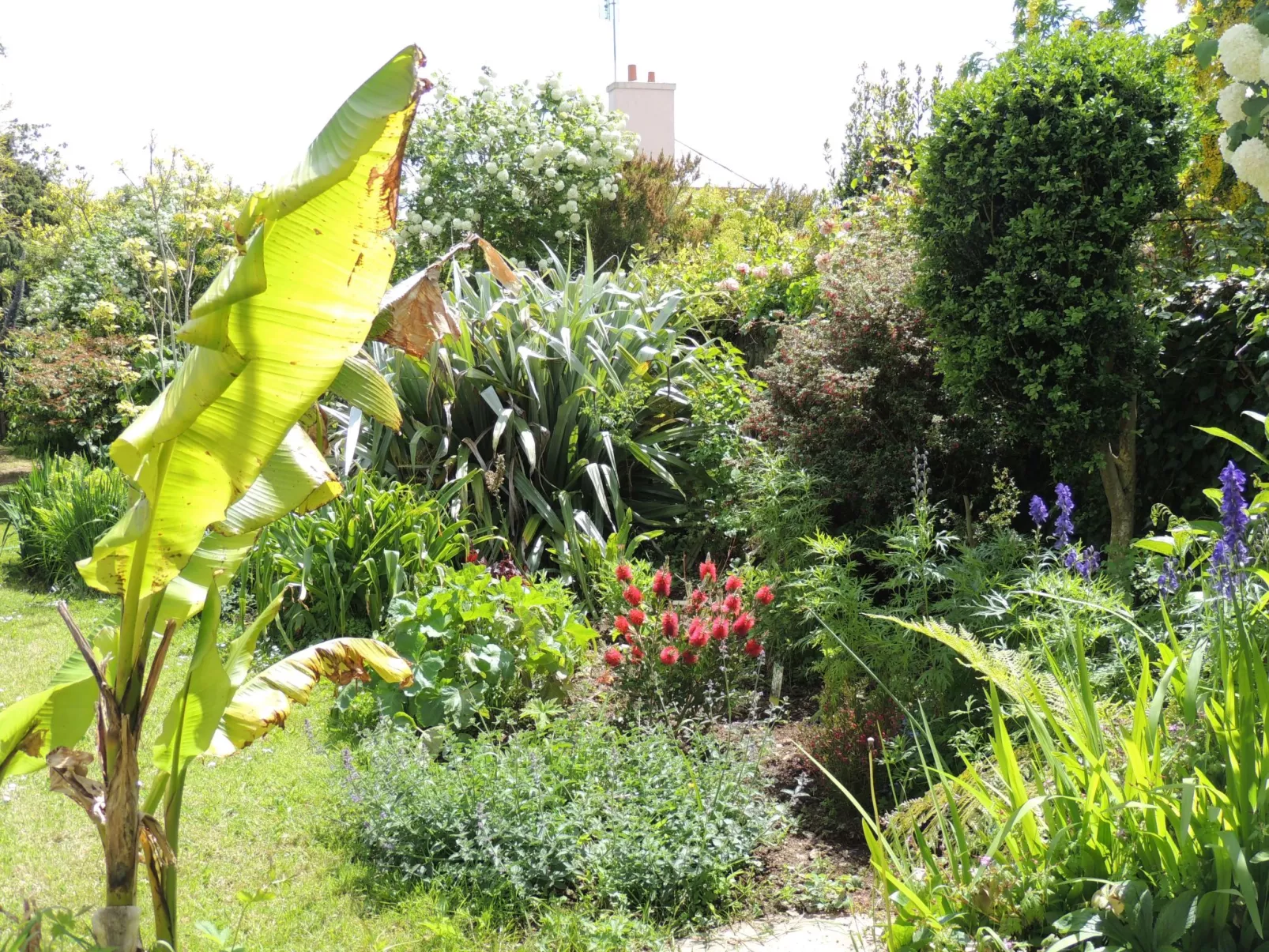Großes Familienhaus mit schön angelegtem Garten-Dehors