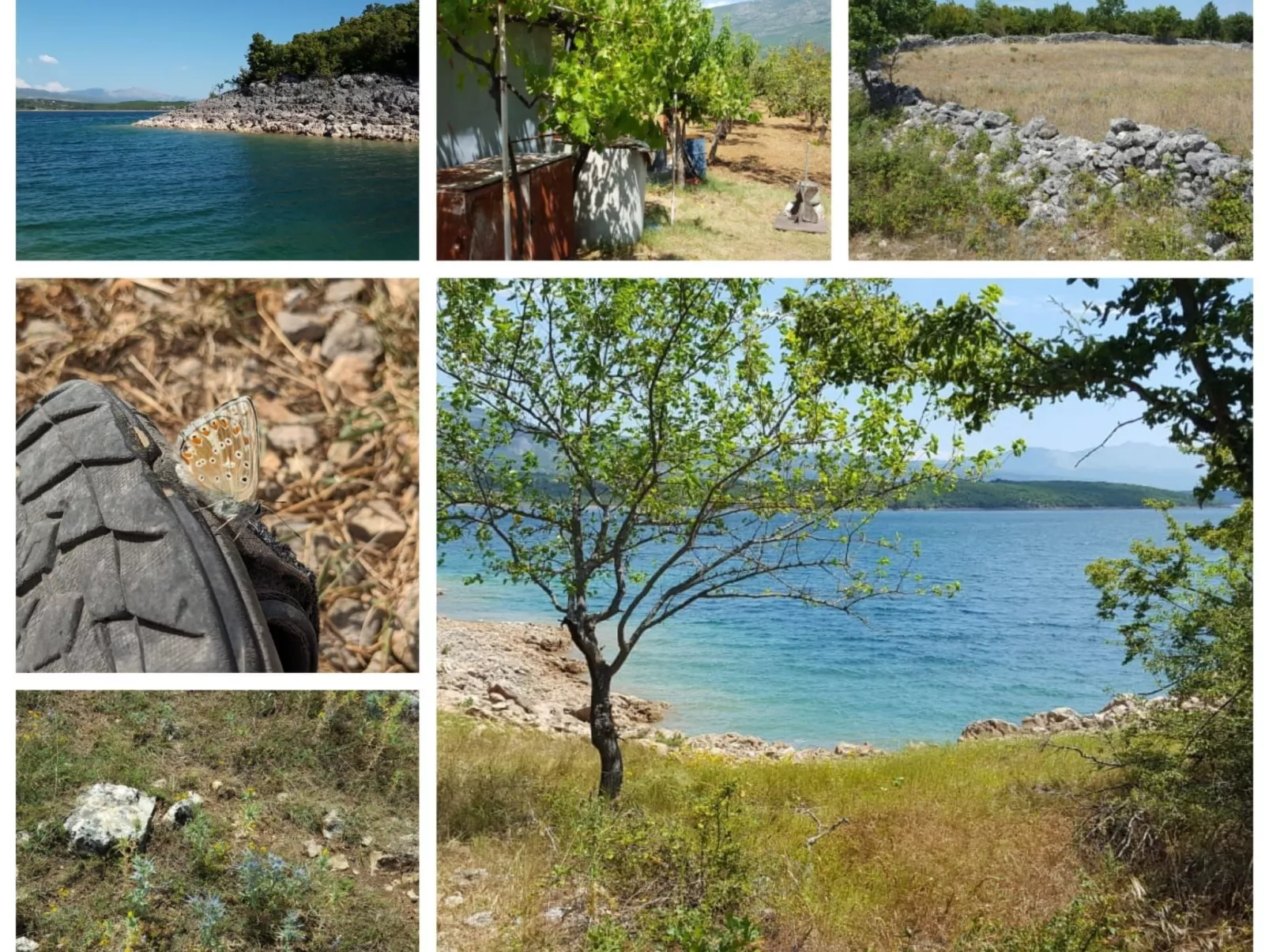 Anwesen "Poljicko imanje" mit eigenem Pool-Dehors