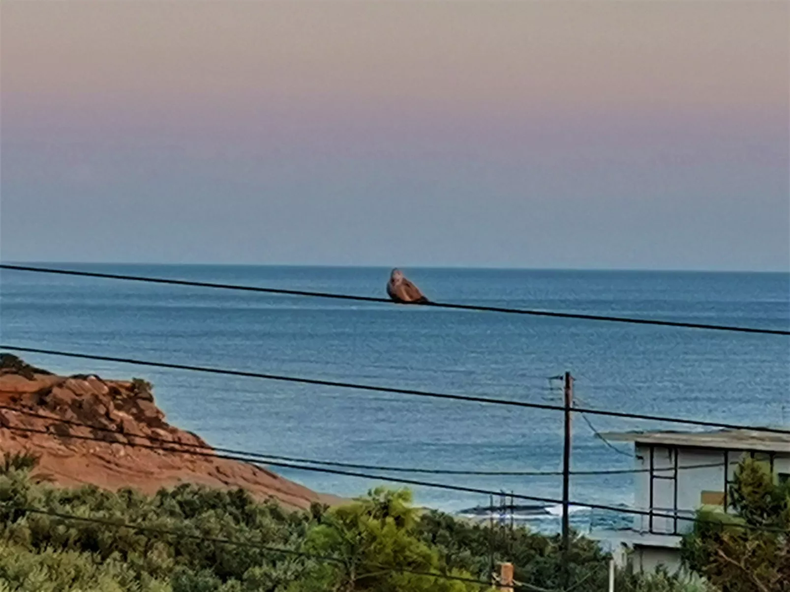 Wohnung mit Gartenblick, Kreta, Ierapetra