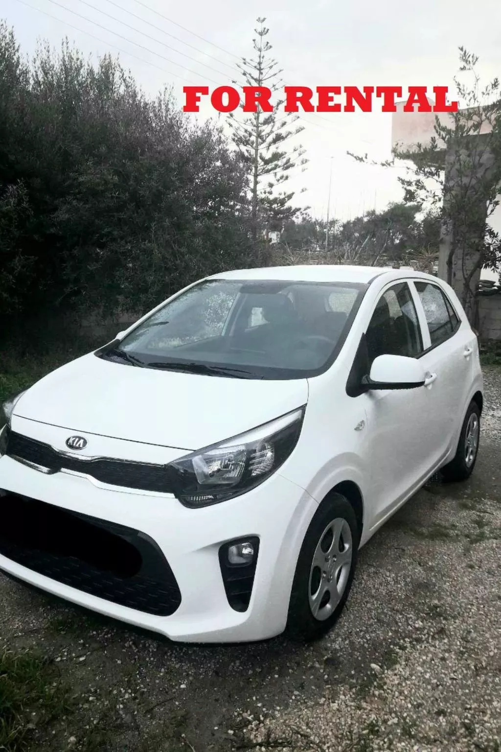 Gorgona Apt - Ihr Traum-1-BDR-Ferienhaus-Draußen