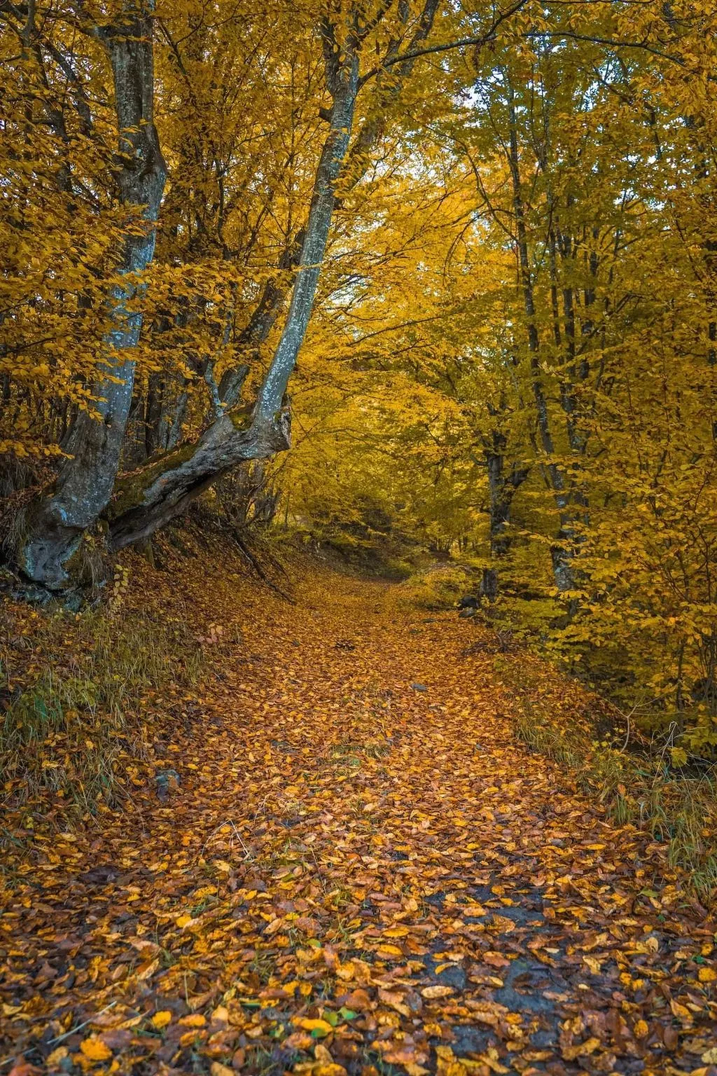 Authentisches Haus mit Bergblick - Karashka-Draußen