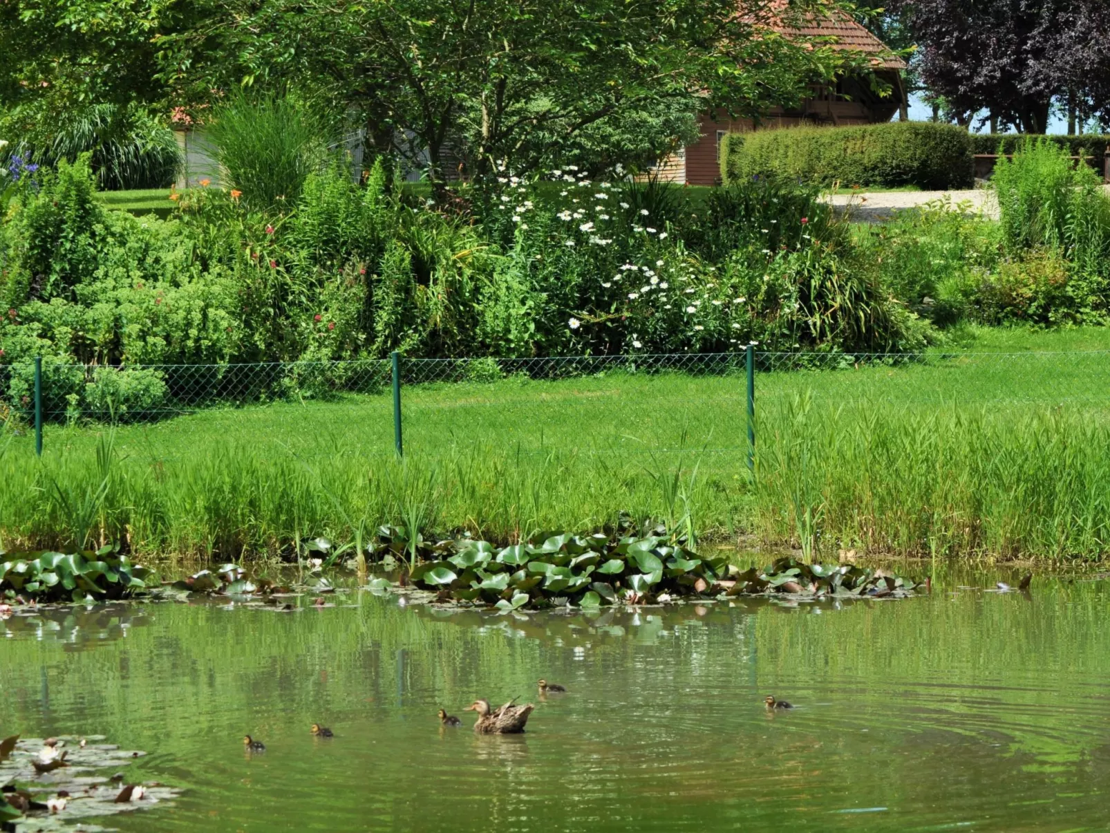Für acht Personen-Draußen