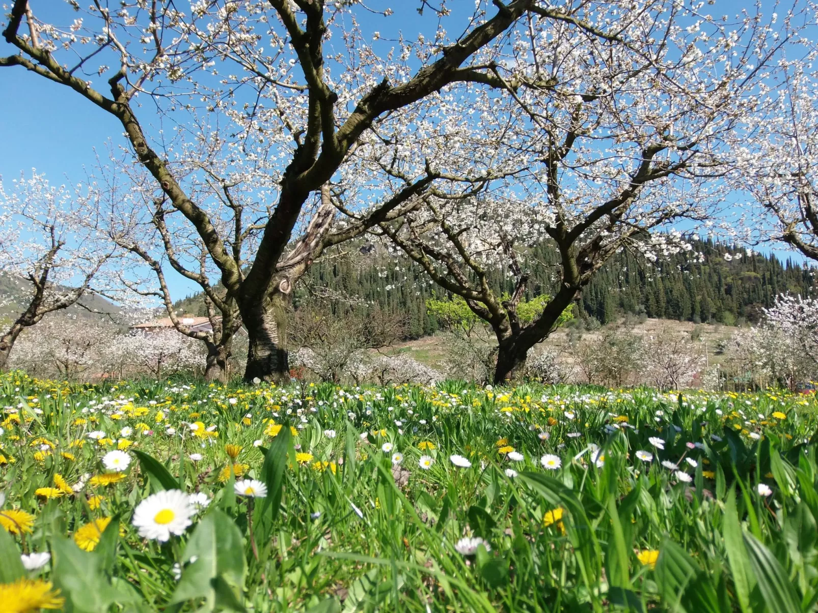 Anwesen mit privatem Garten und Grill-Draußen