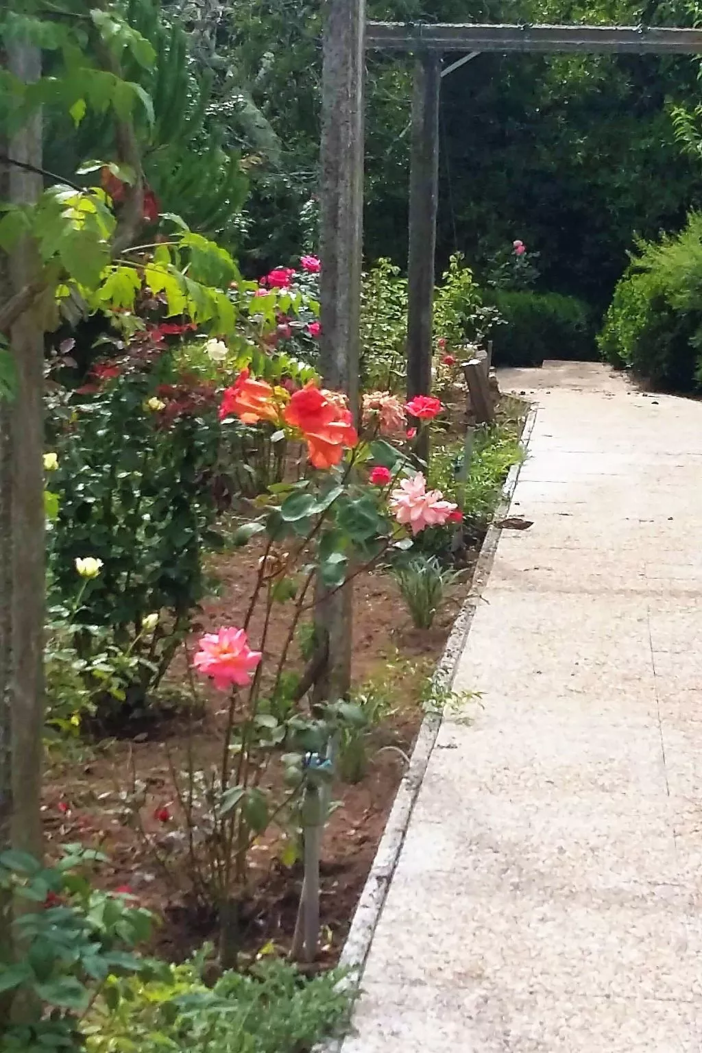 Quinta D'Avó Amélia, wunderschönes Landhaus zwischen den Bergen und dem Meer-Image-tags.info