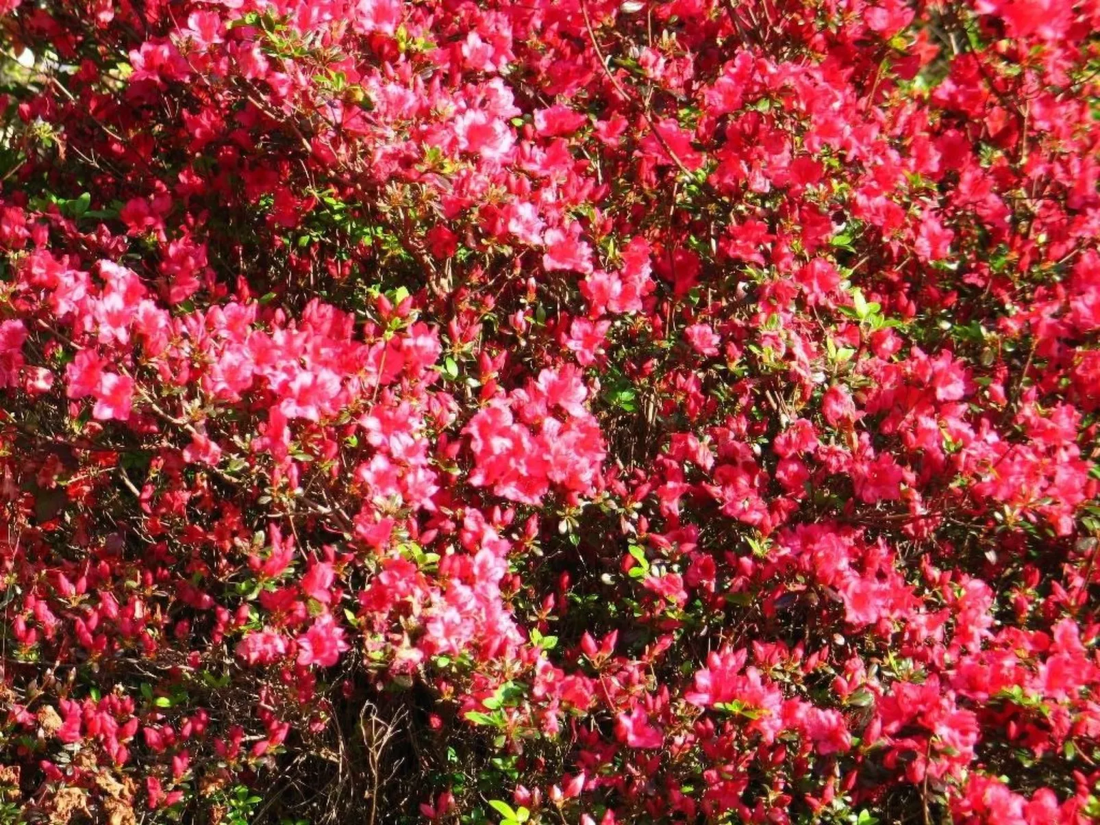 Villa "River Cottage" mit Blick auf das Wasser-Dehors