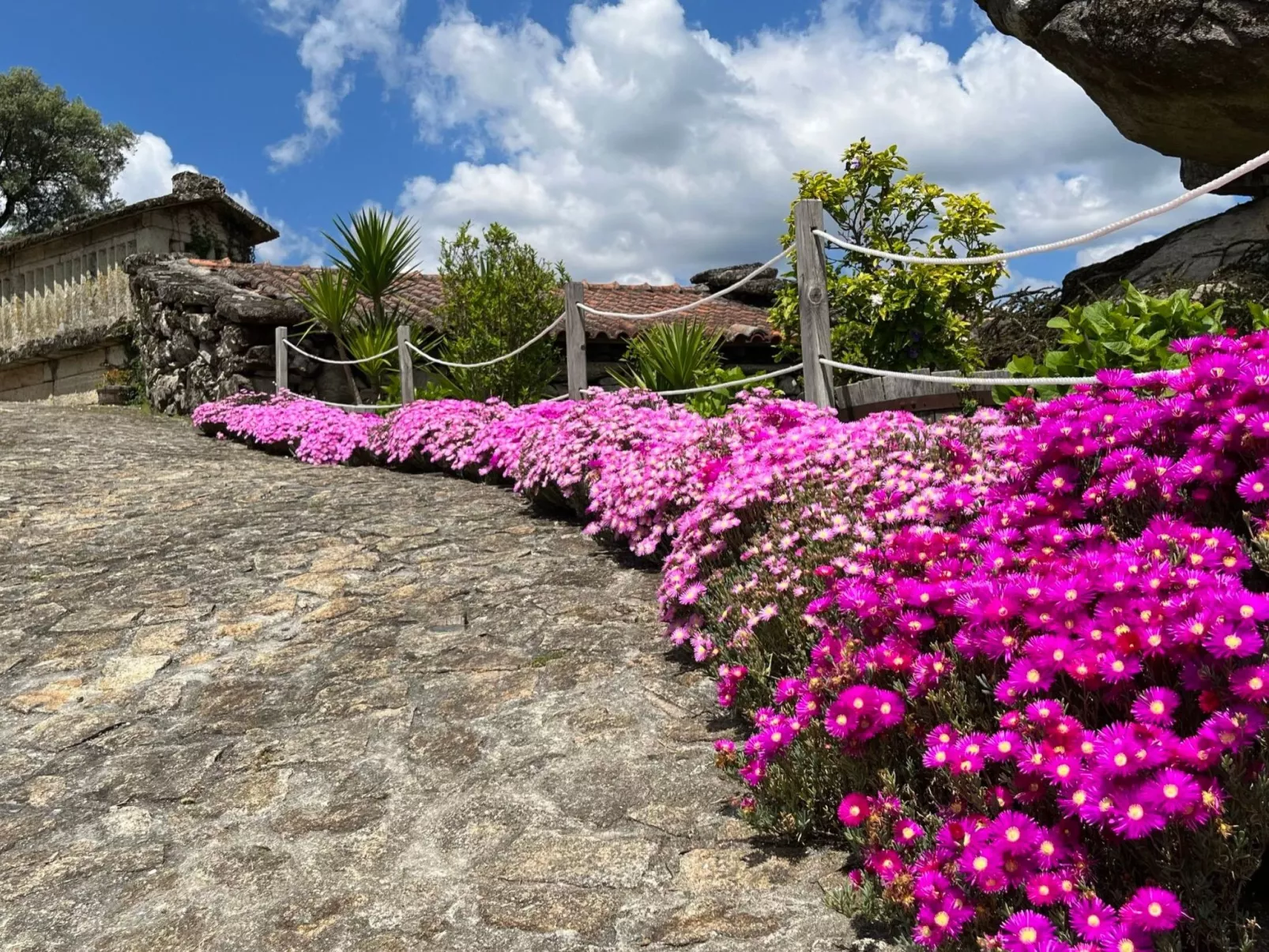 Casas das Olas 6 - Großartige Aussicht, 2 Pools, idealer Ort zum Entspannen und-Dehors