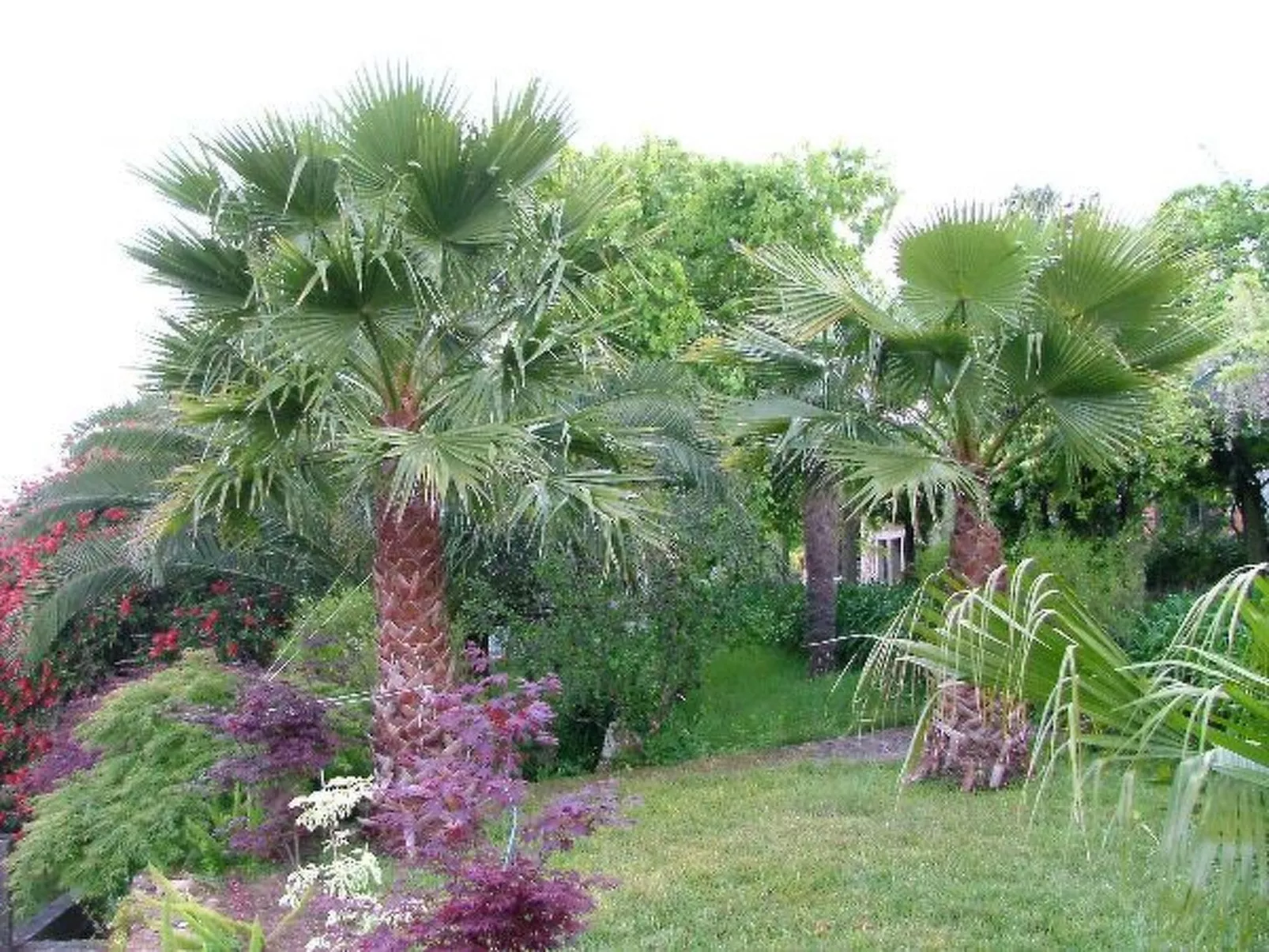 Finca "Quinta do Bento Novo"-Outside