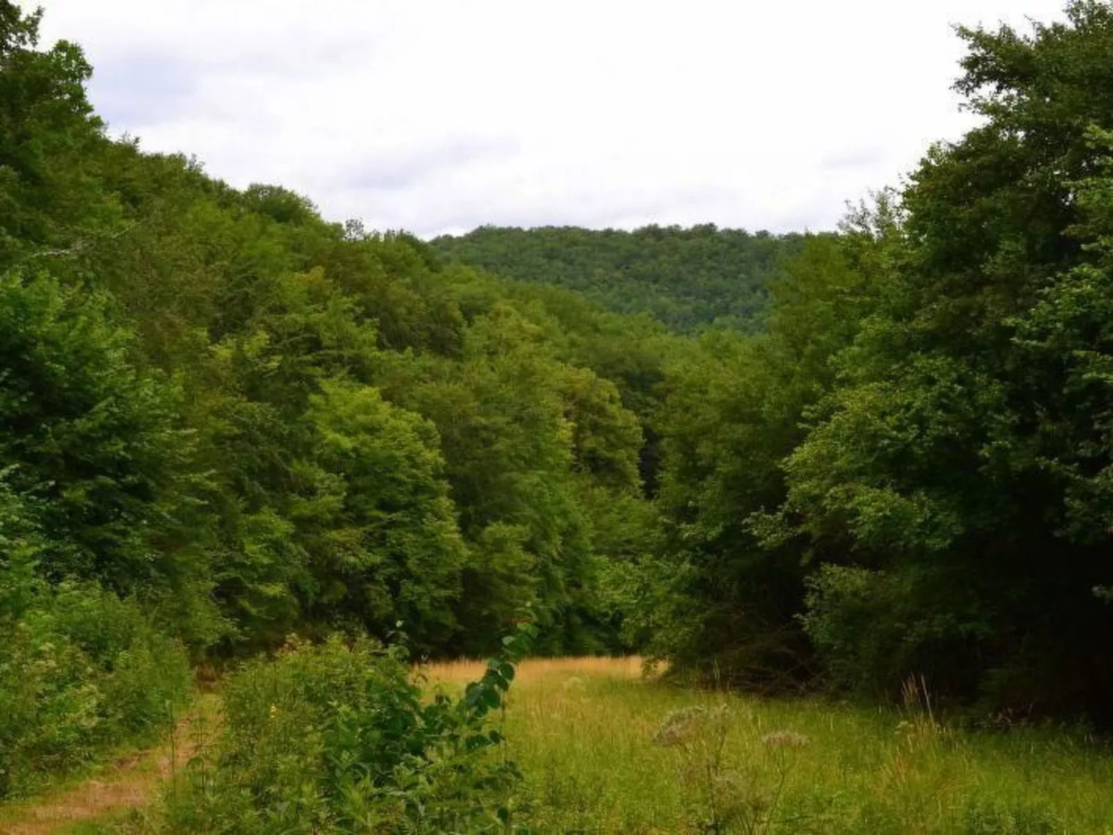 "Tannat" mit Wallbox